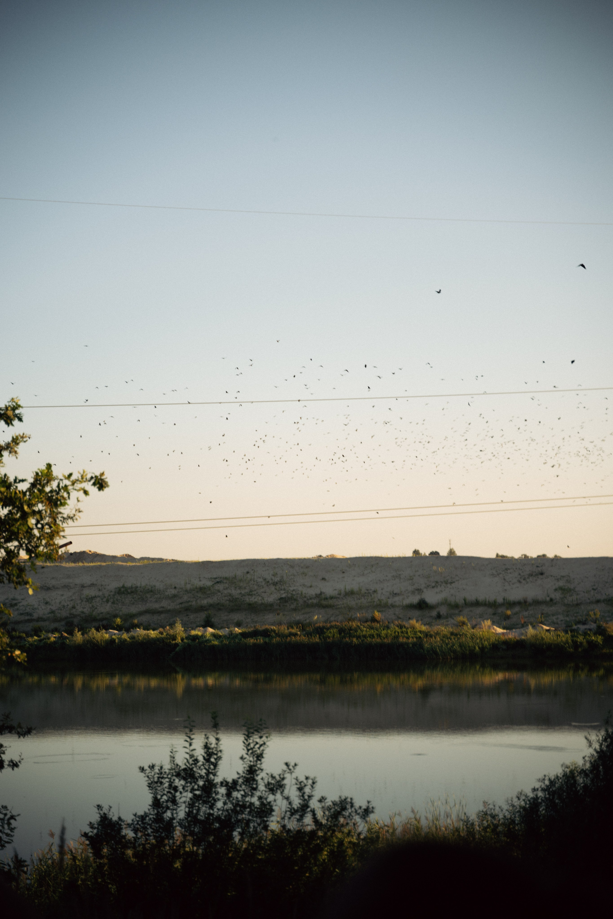 Особенно. Свадебный и портретный фотограф в Брянске и Москве Алина Химушкина