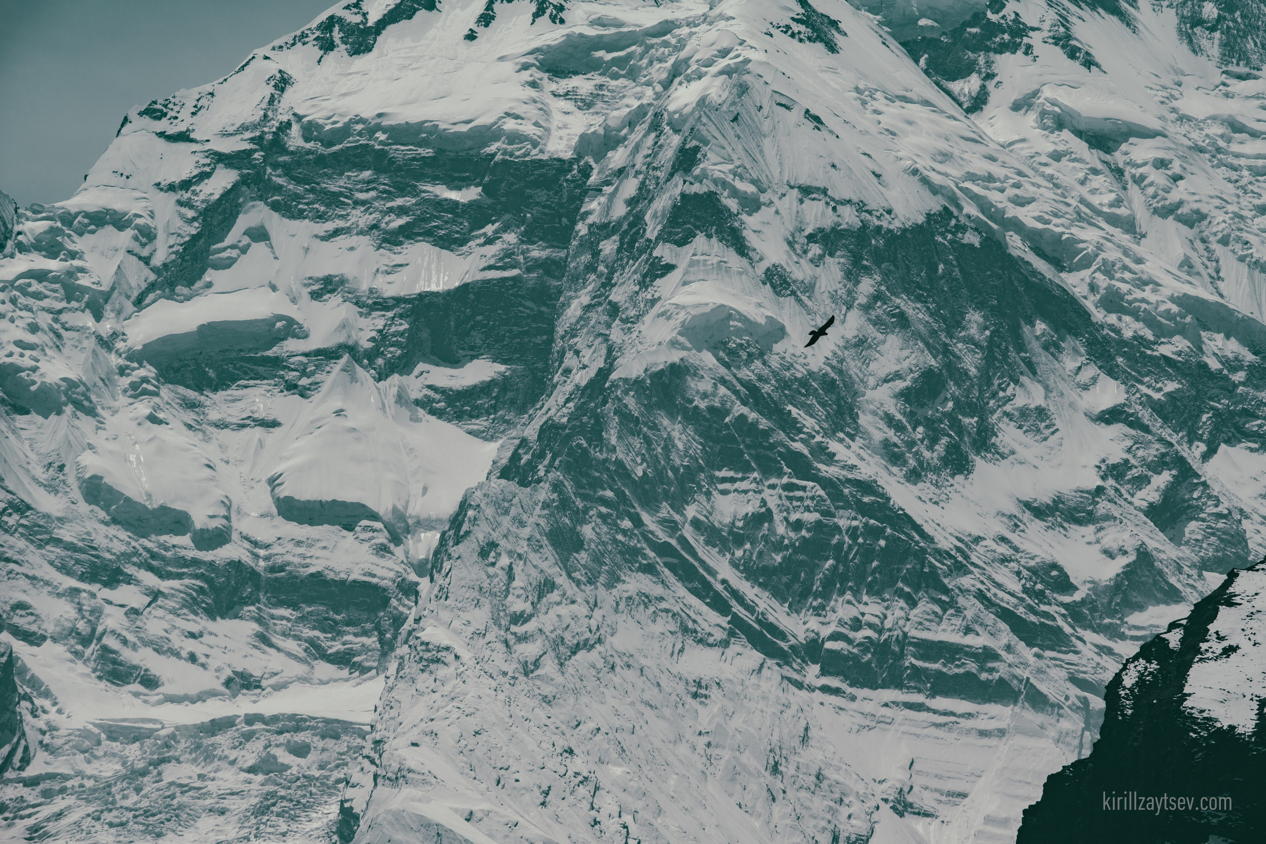 Жизнь. Профессиональный фотограф Кирилл Зайцев