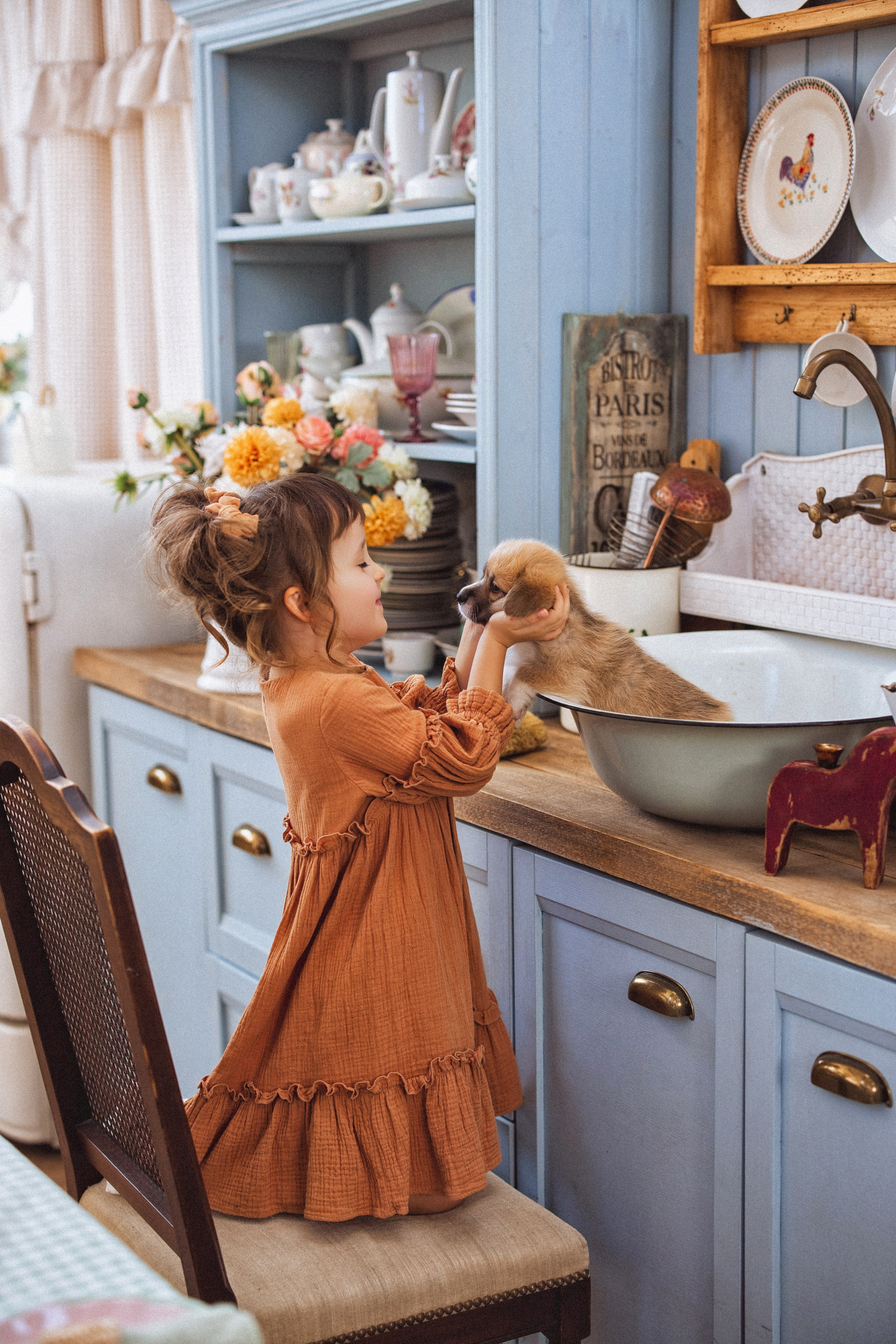 Фотосессия с щенками Корги, в фотостудии Ольги Сурухановой, город Краснодар. Семейный и детский фотограф в Краснодаре Анна Трашкова