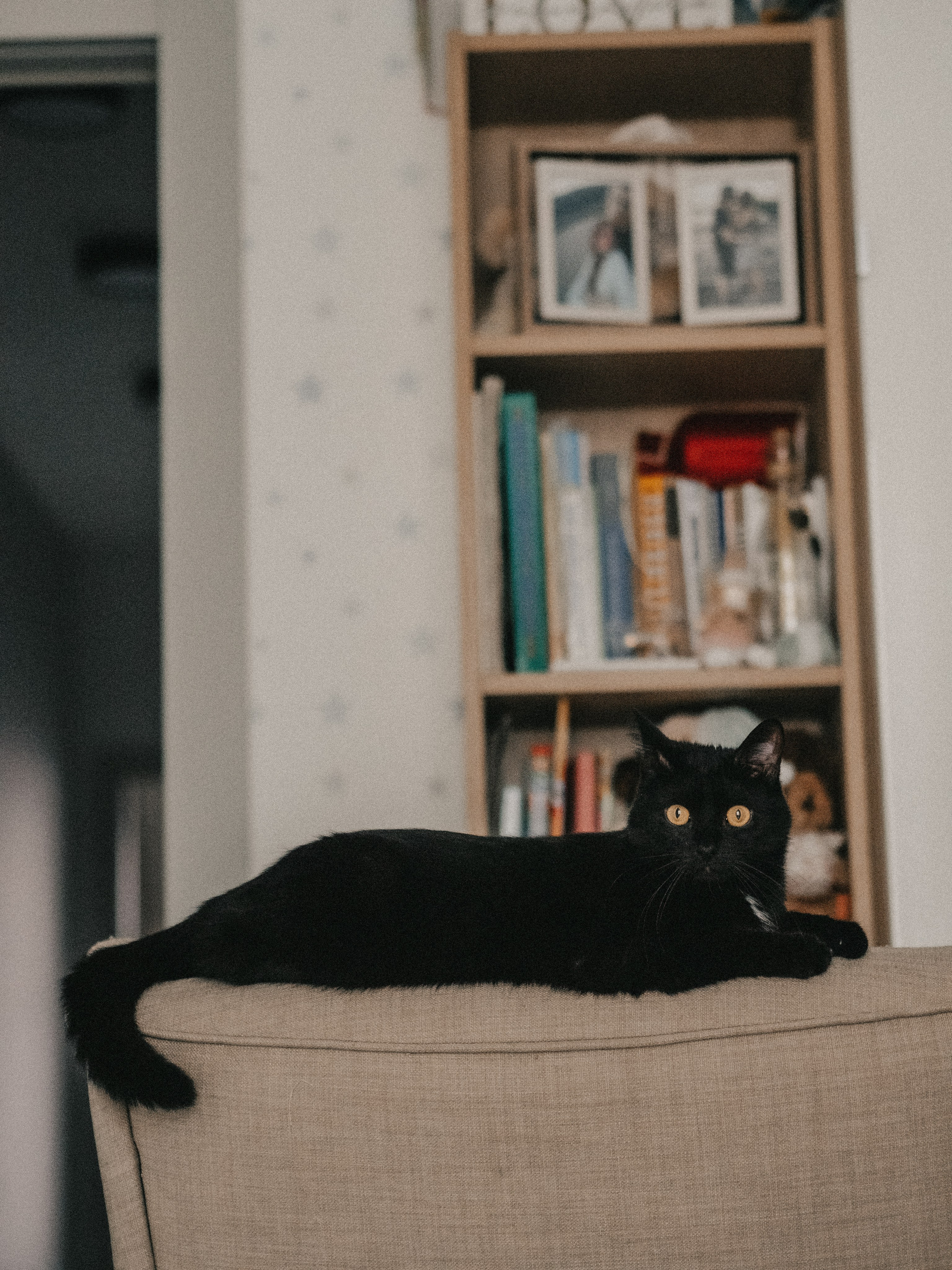 Лёня, Лера и Матвей дома. Семейный и свадебный lifestyle-фотограф в Москве Мария Петрова