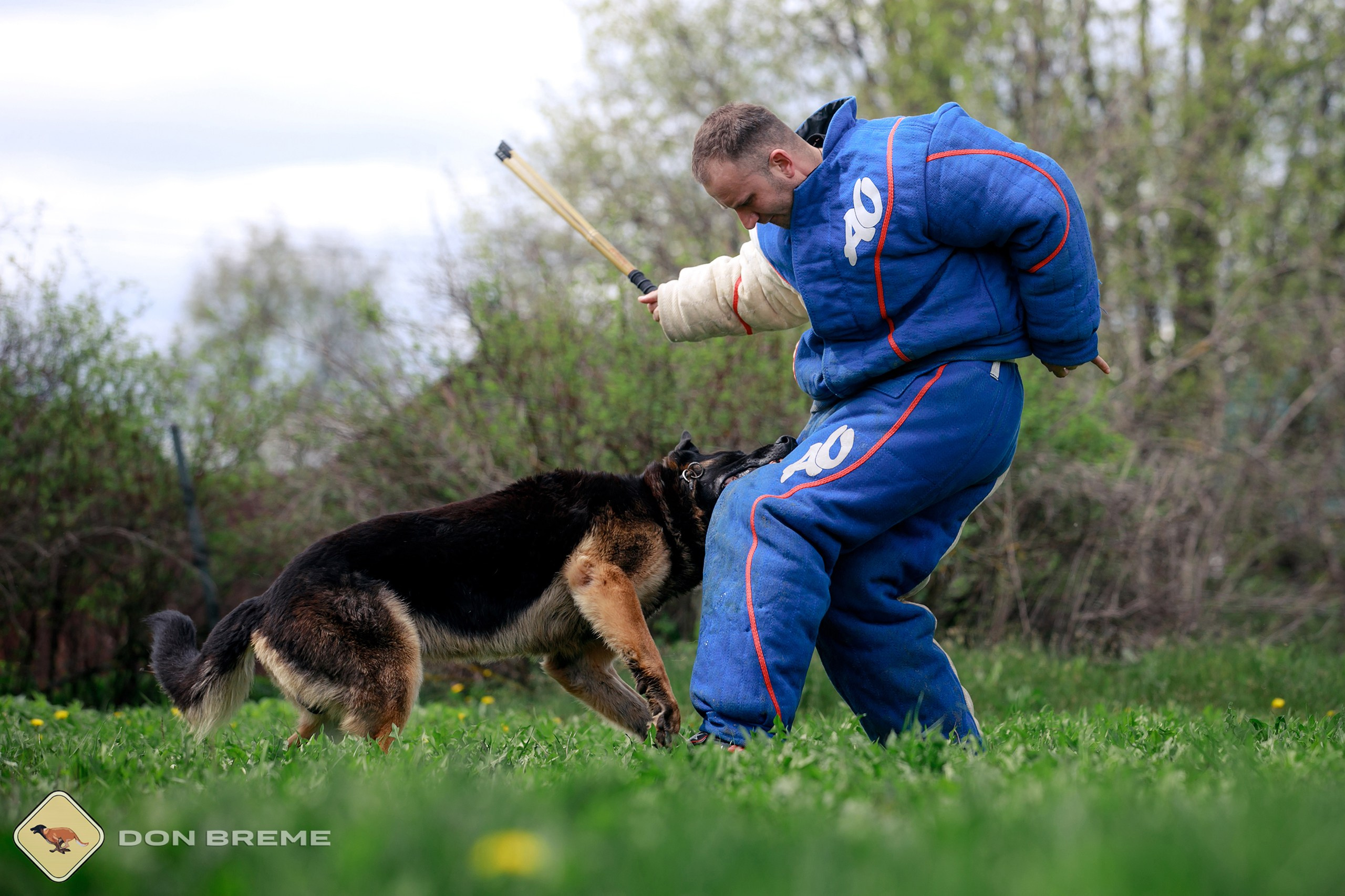 Семинар для фигурантов, день 2. Фотограф-анималист Mary Mart — Москва, Питер