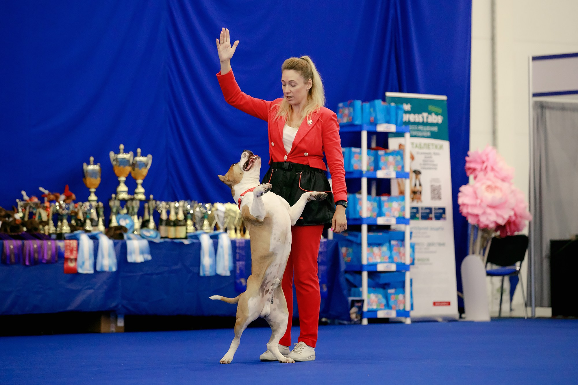 Танцы на выставке «Зоошоу», СПб. Фотограф-анималист Mary Mart — Москва, Питер