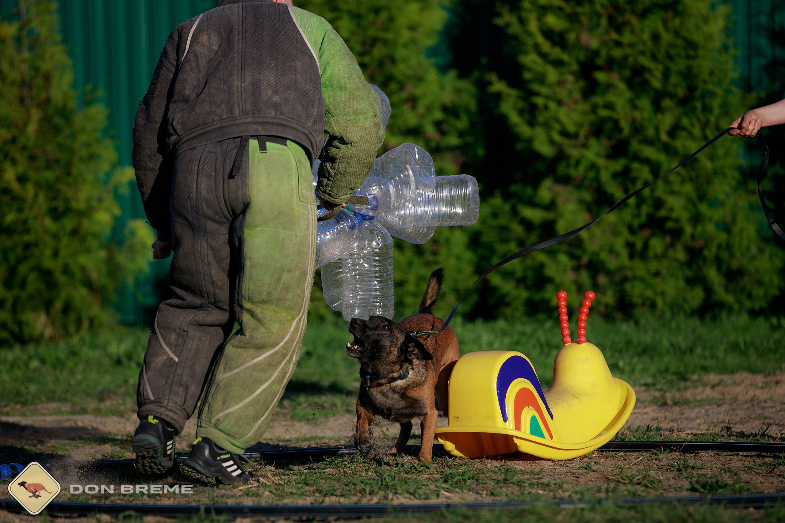 Семинар для фигурантов, день 3. Фотограф-анималист Mary Mart — Москва, Питер