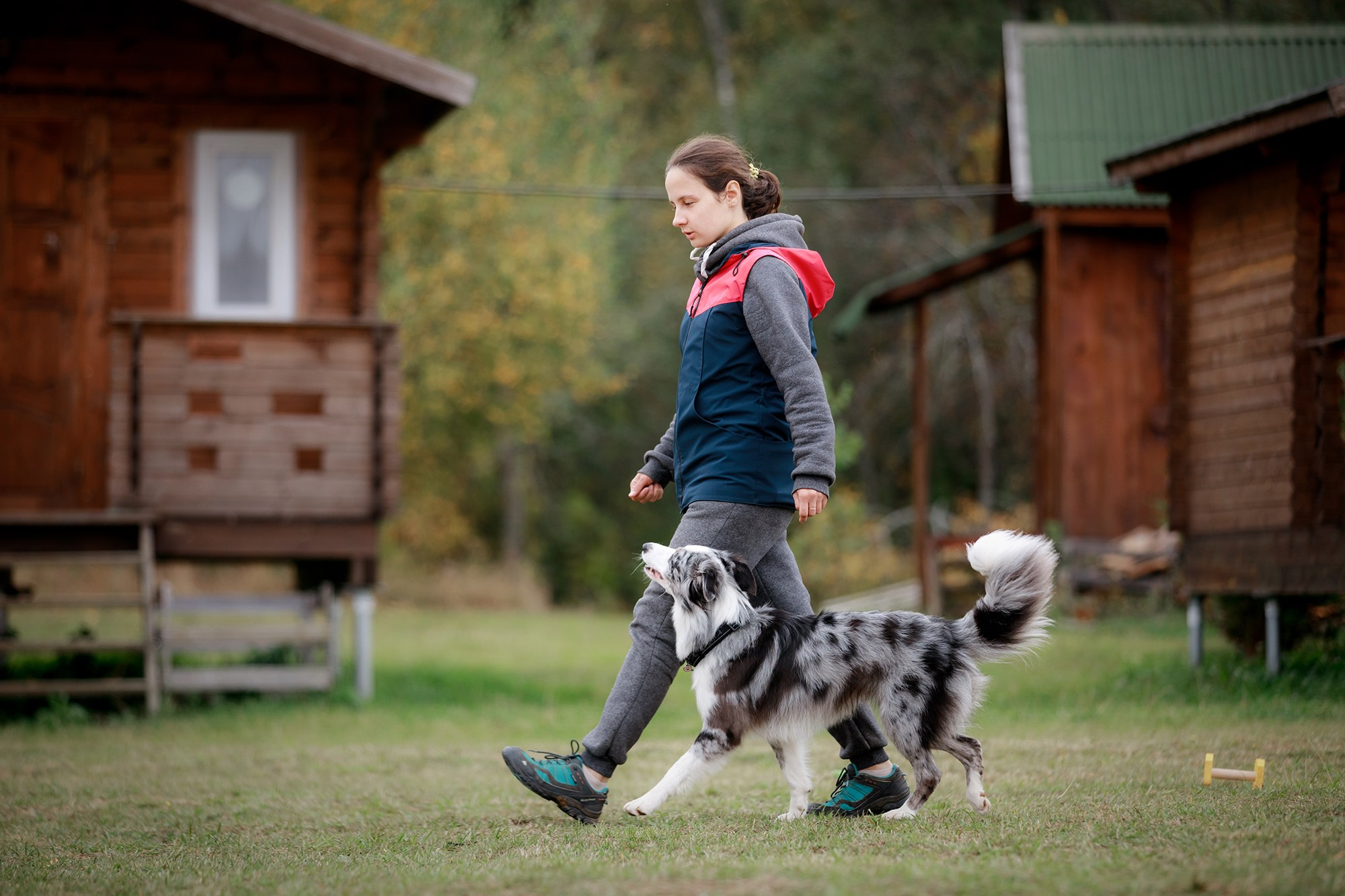 Лагерь по ОБД с Инной Баженовой. Фотограф-анималист Mary Mart — Москва, Питер