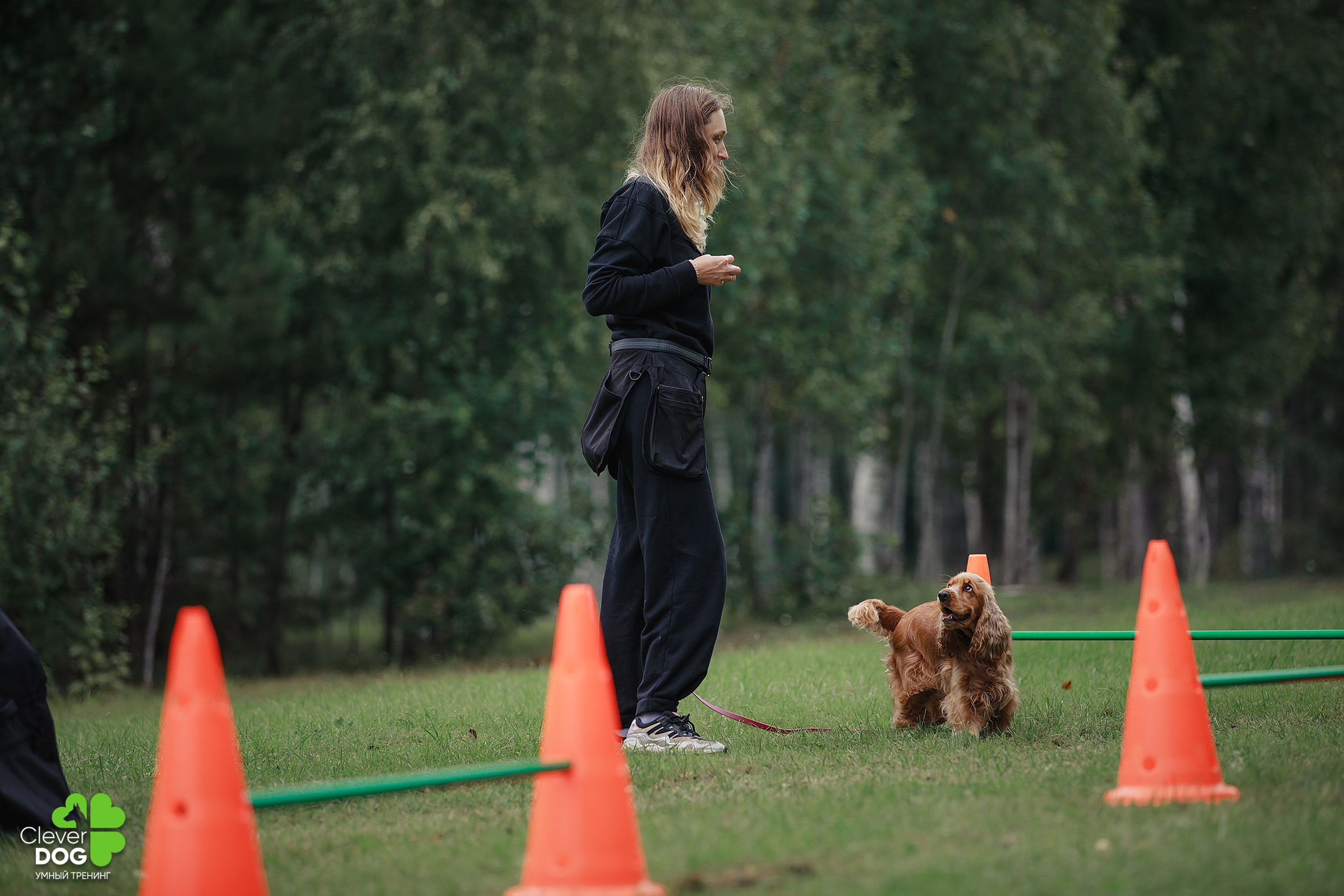 Кинологический лагерь CleverDog, 2024. Фотограф-анималист Mary Mart — Москва, Питер