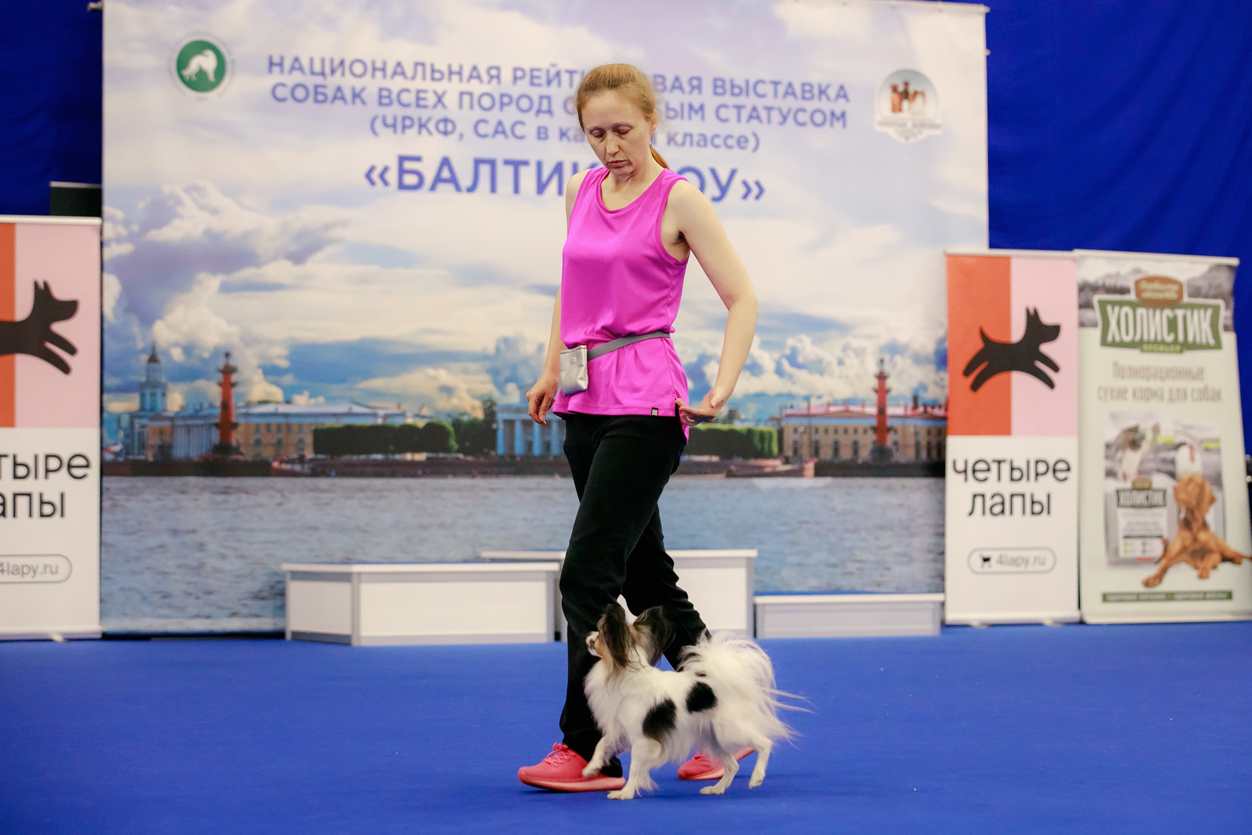Танцы на выставке «Зоошоу», СПб. Фотограф-анималист Mary Mart — Москва, Питер