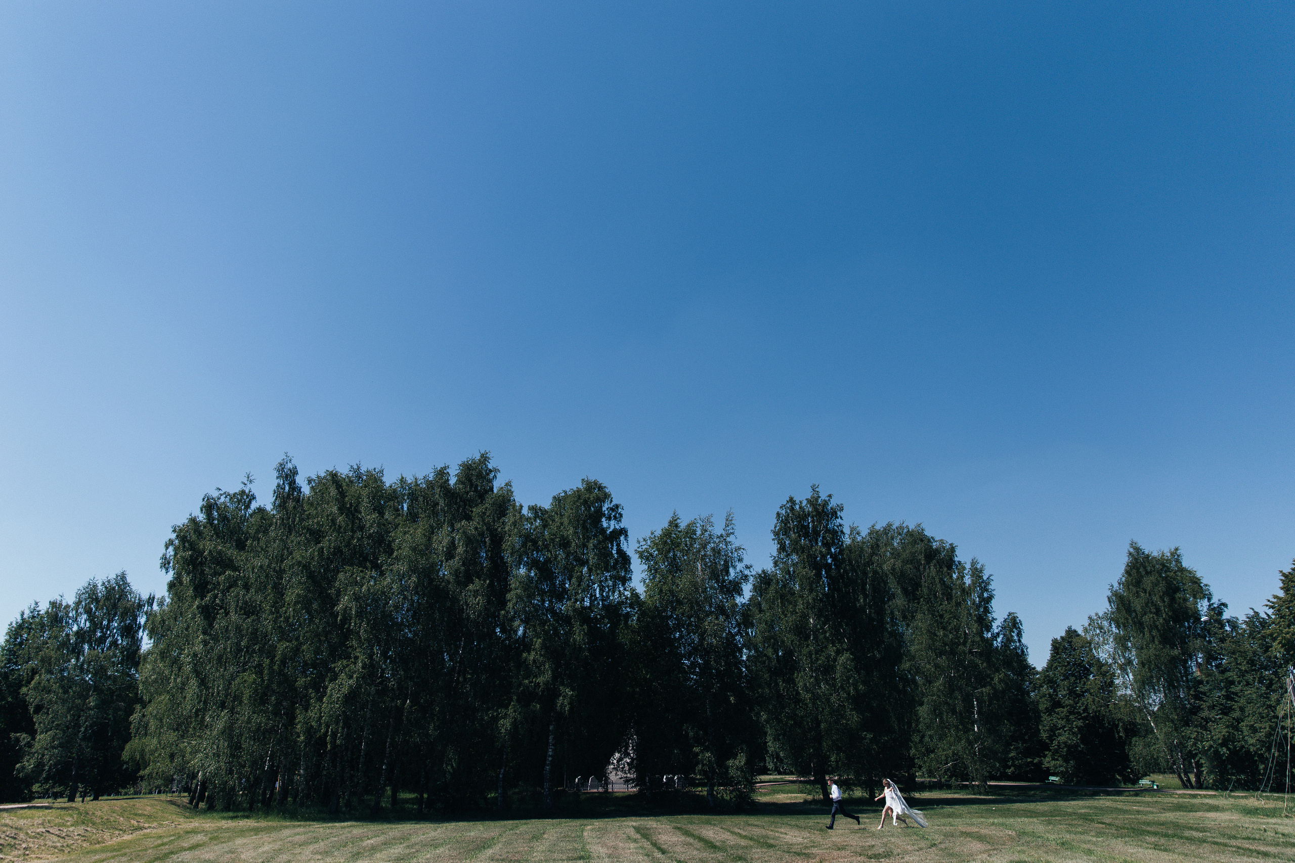 Анонс свадебных фотографий Ксении и Александра. Свадебный фотограф Домодедово Москва Катерина Алехина