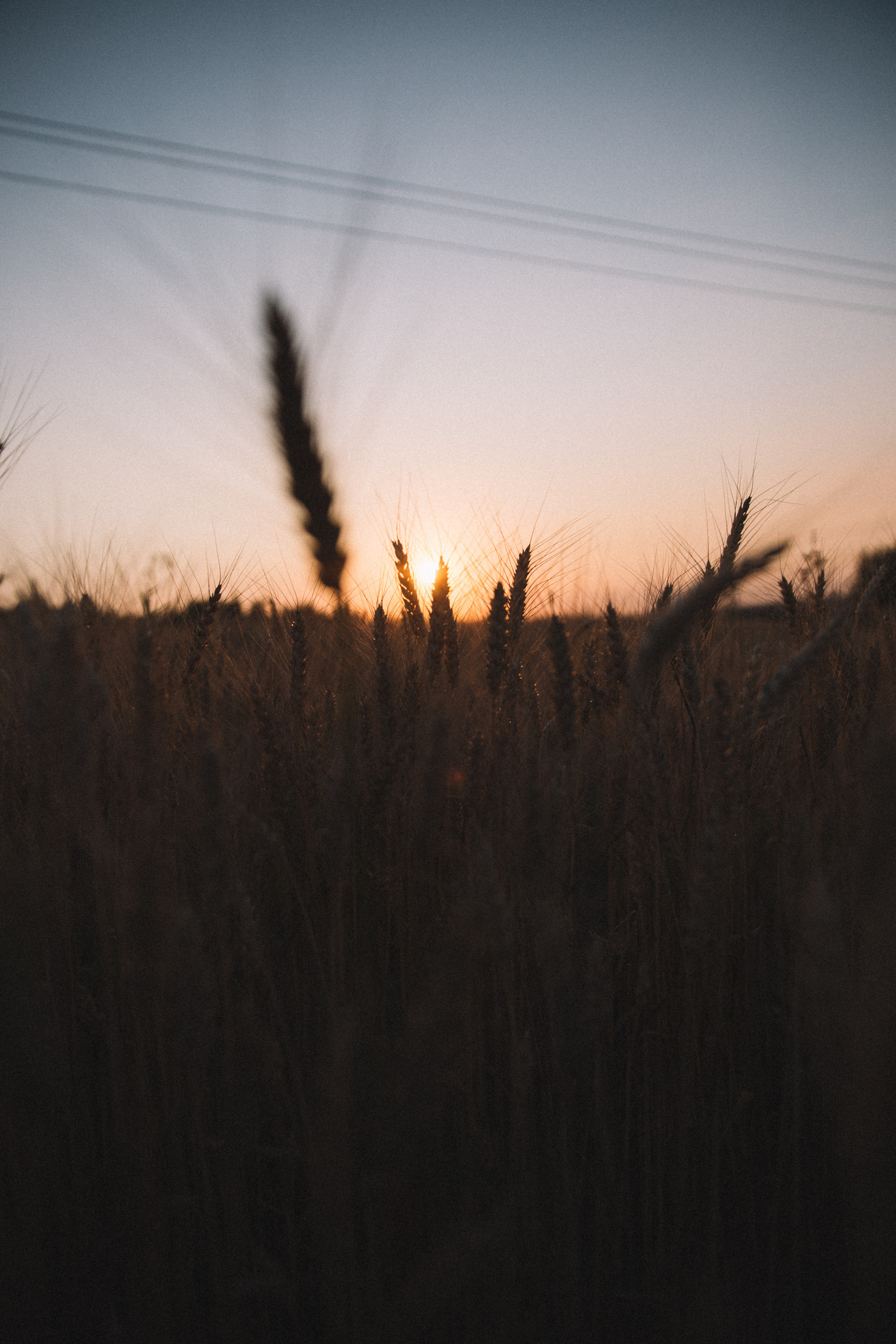 Успеть до заката. Свадебный фотограф Домодедово Москва Катерина Алехина