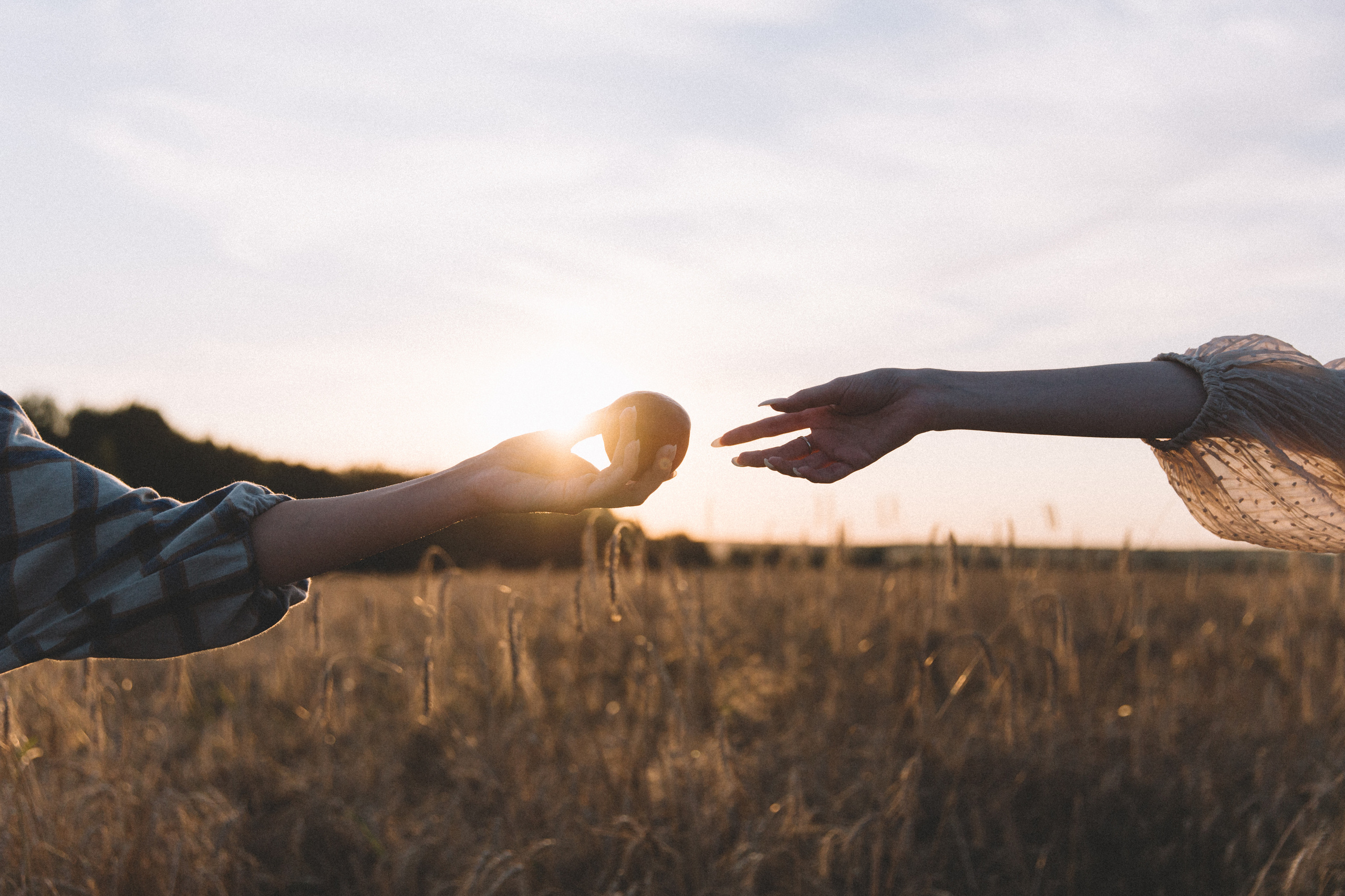 Окунемся в солнце. Свадебный фотограф Домодедово Москва Катерина Алехина