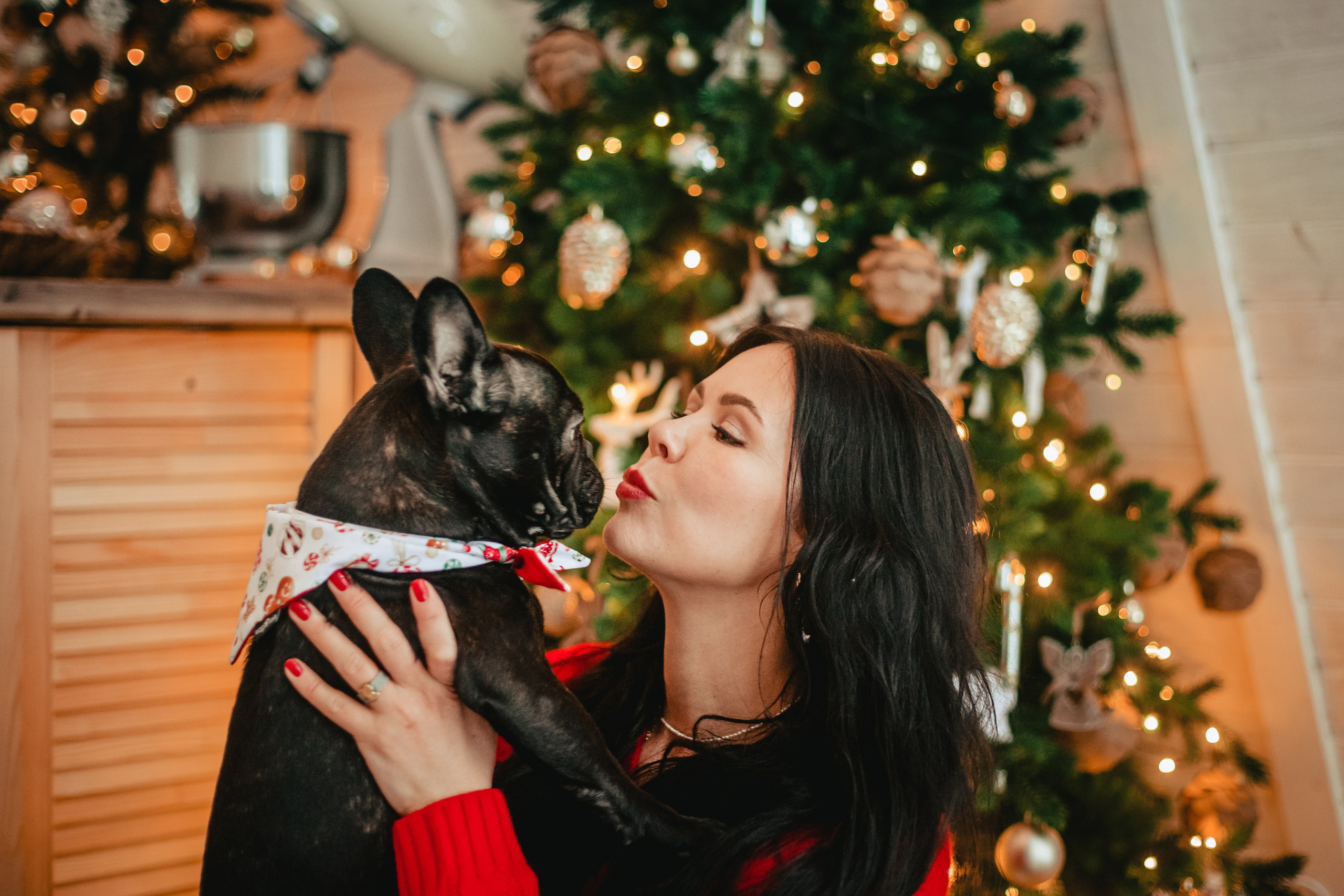 Кантри Хаус. Фотограф-анималист Татьяна Степанова