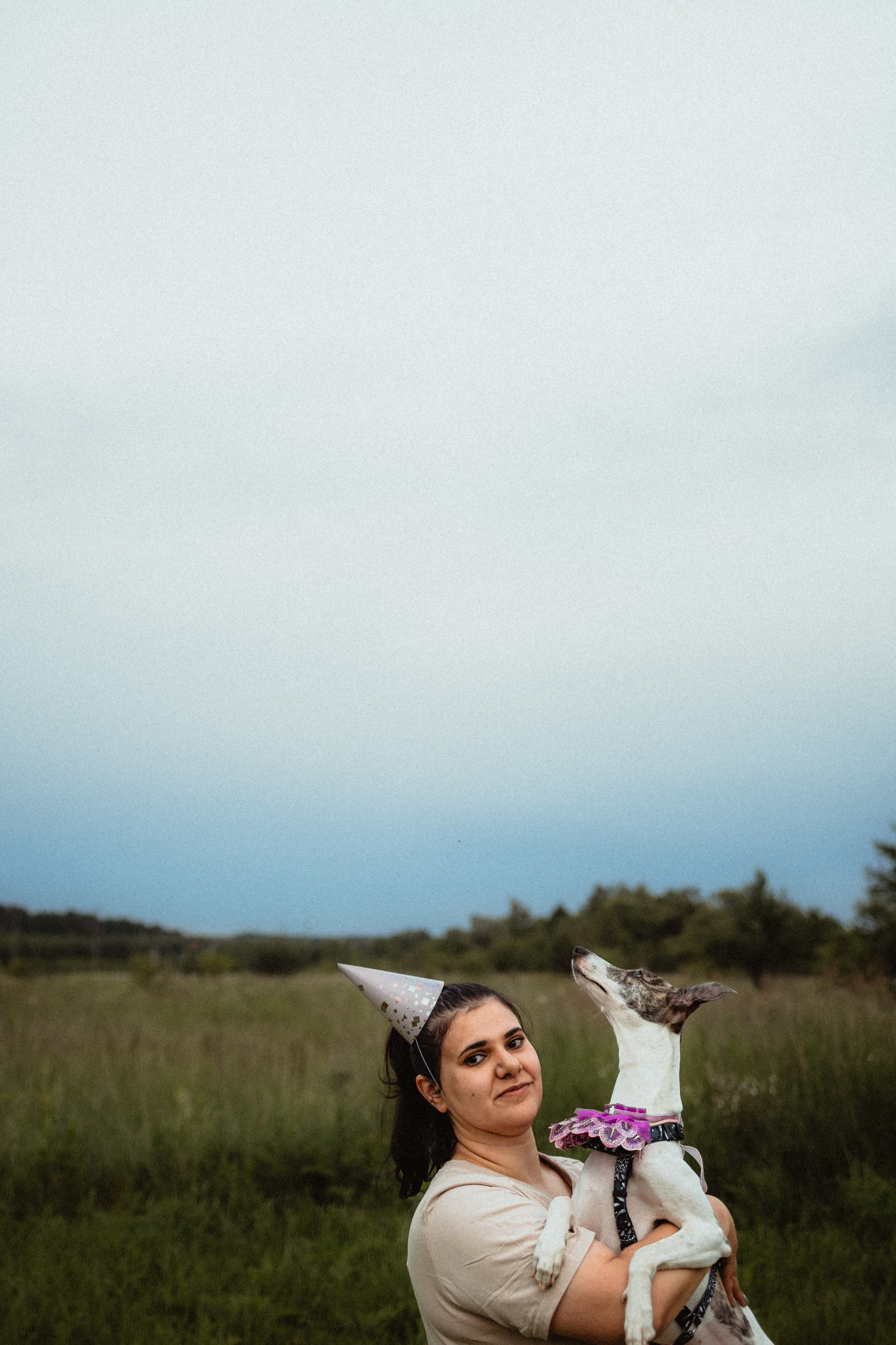 Выездной дог-тренинг от школы «Шерсть имею»