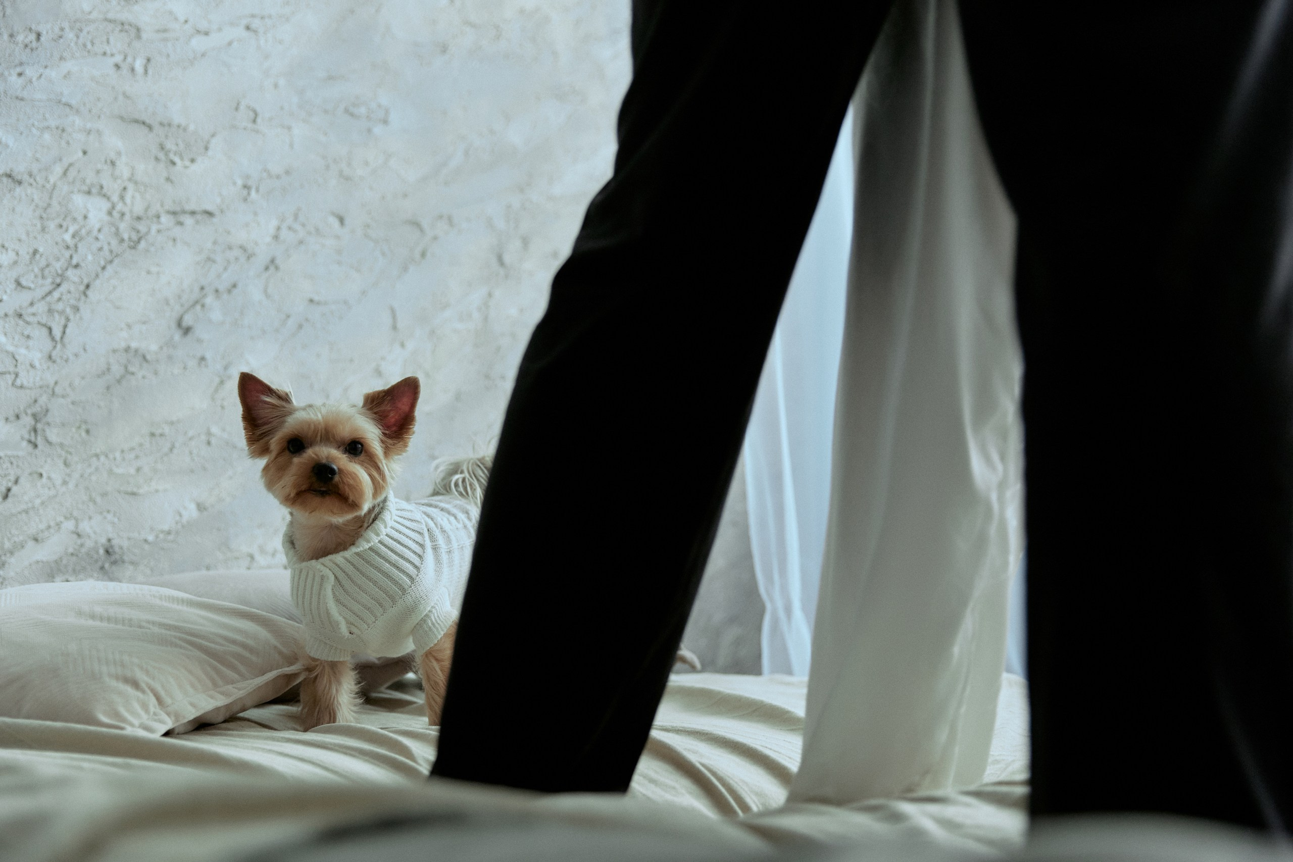 Vladimir & Anastasia. Event агентство PAPRIKA в Екатеринбурге