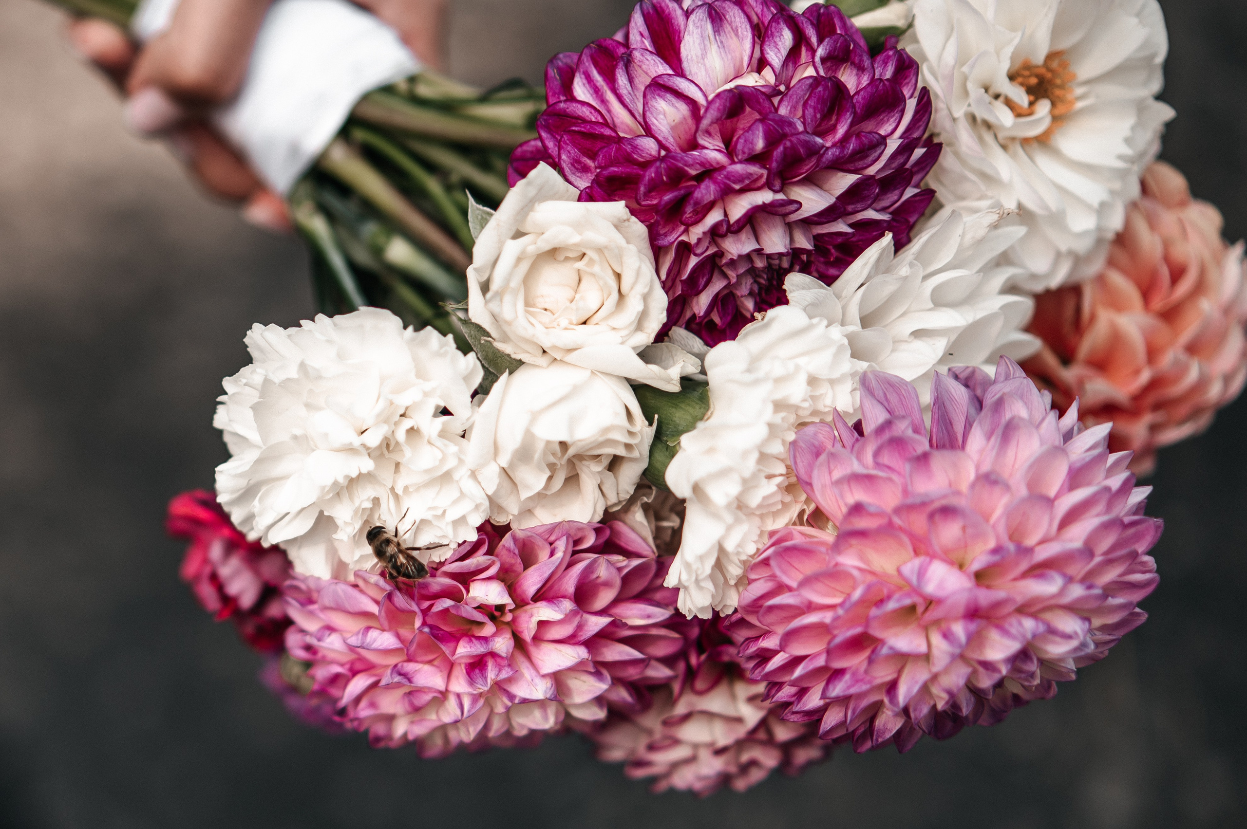 Максим и Наталья. Сборы, прогулка. Фотограф Екатерина Бочарникова