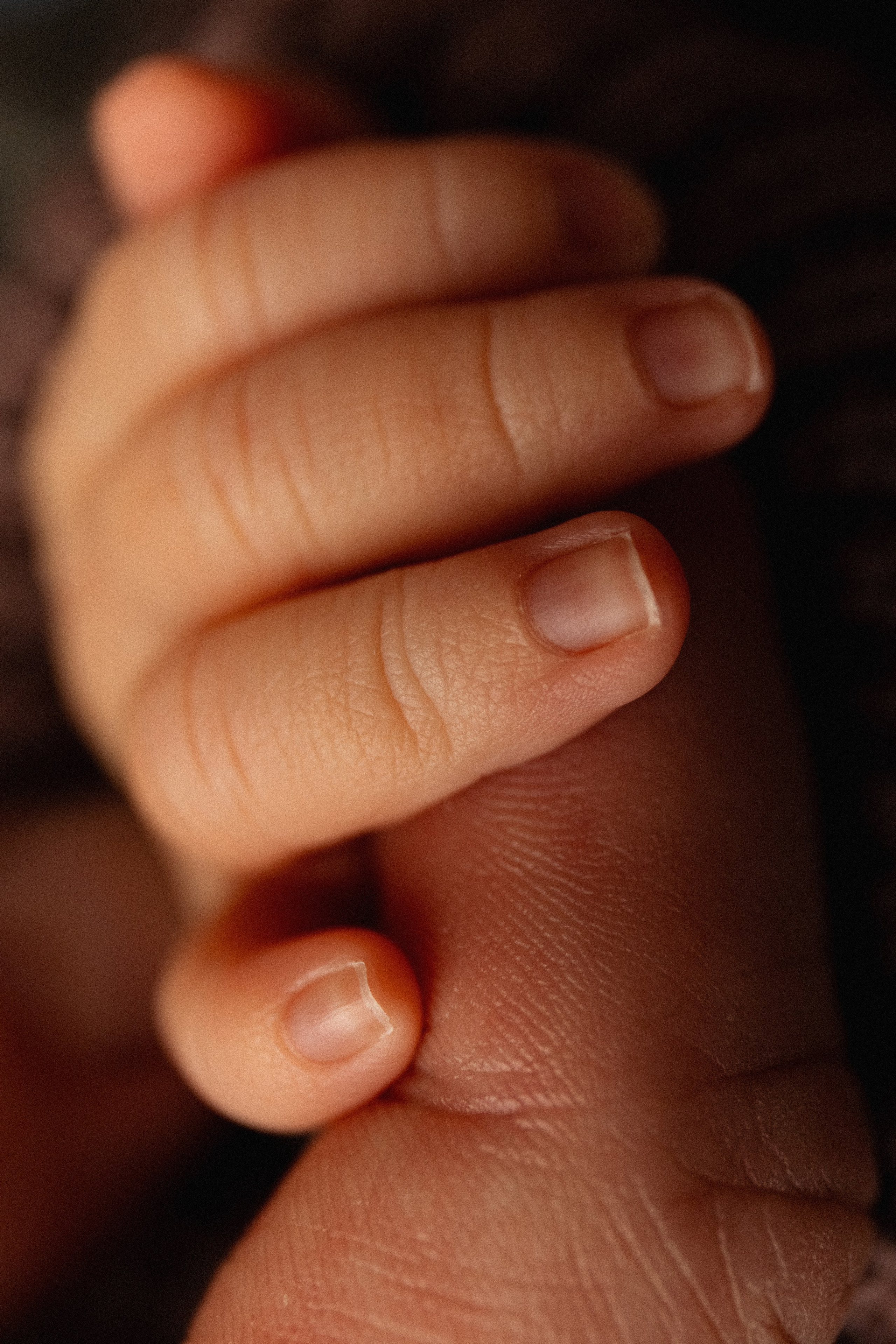 Фотосессия новорожденных в Мурманске, фотограф новорожденных. Мария Махинина — фотограф в Мурманске и Североморске