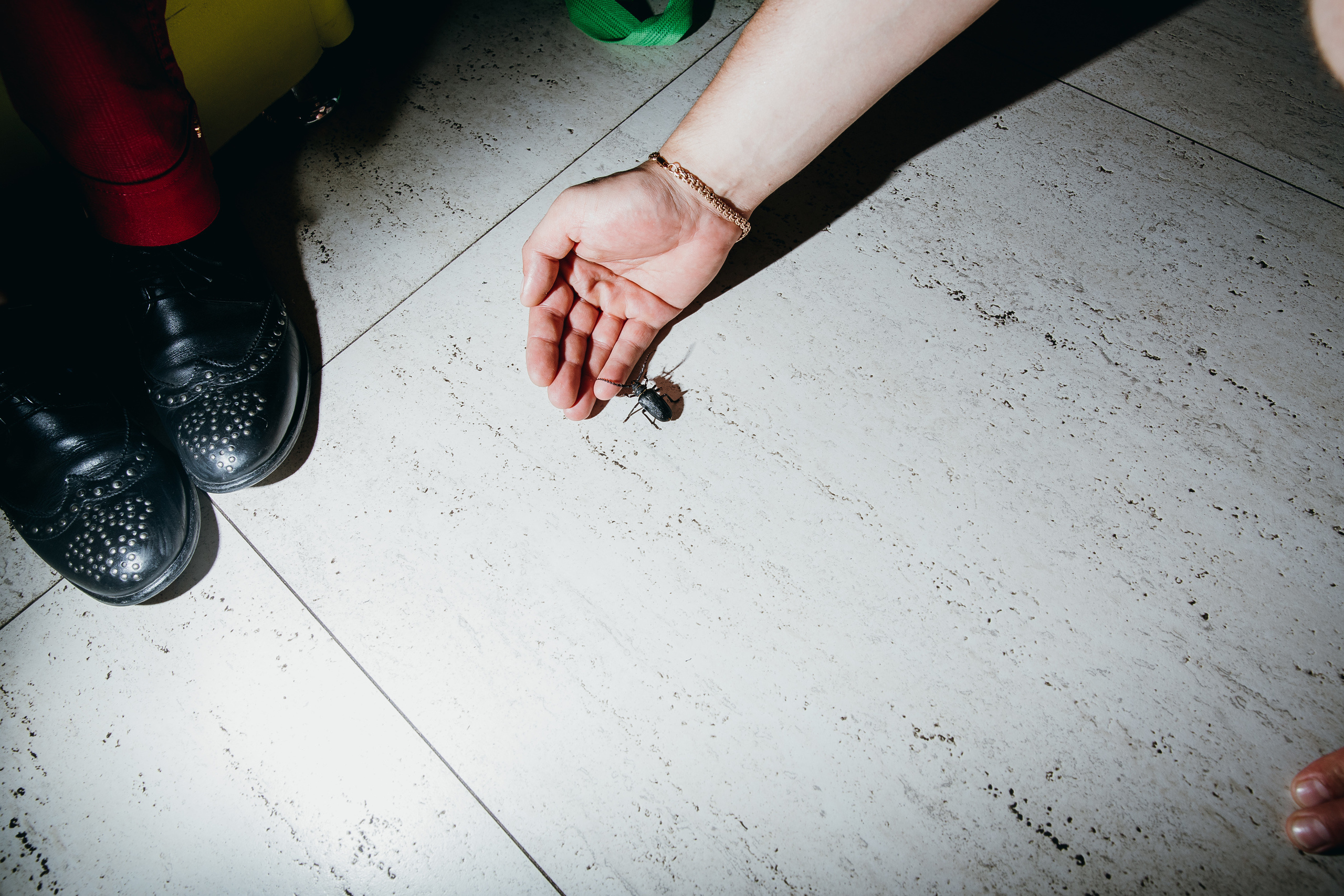 Дмитрий и Валерия. Фотограф Андрианов Кирилл