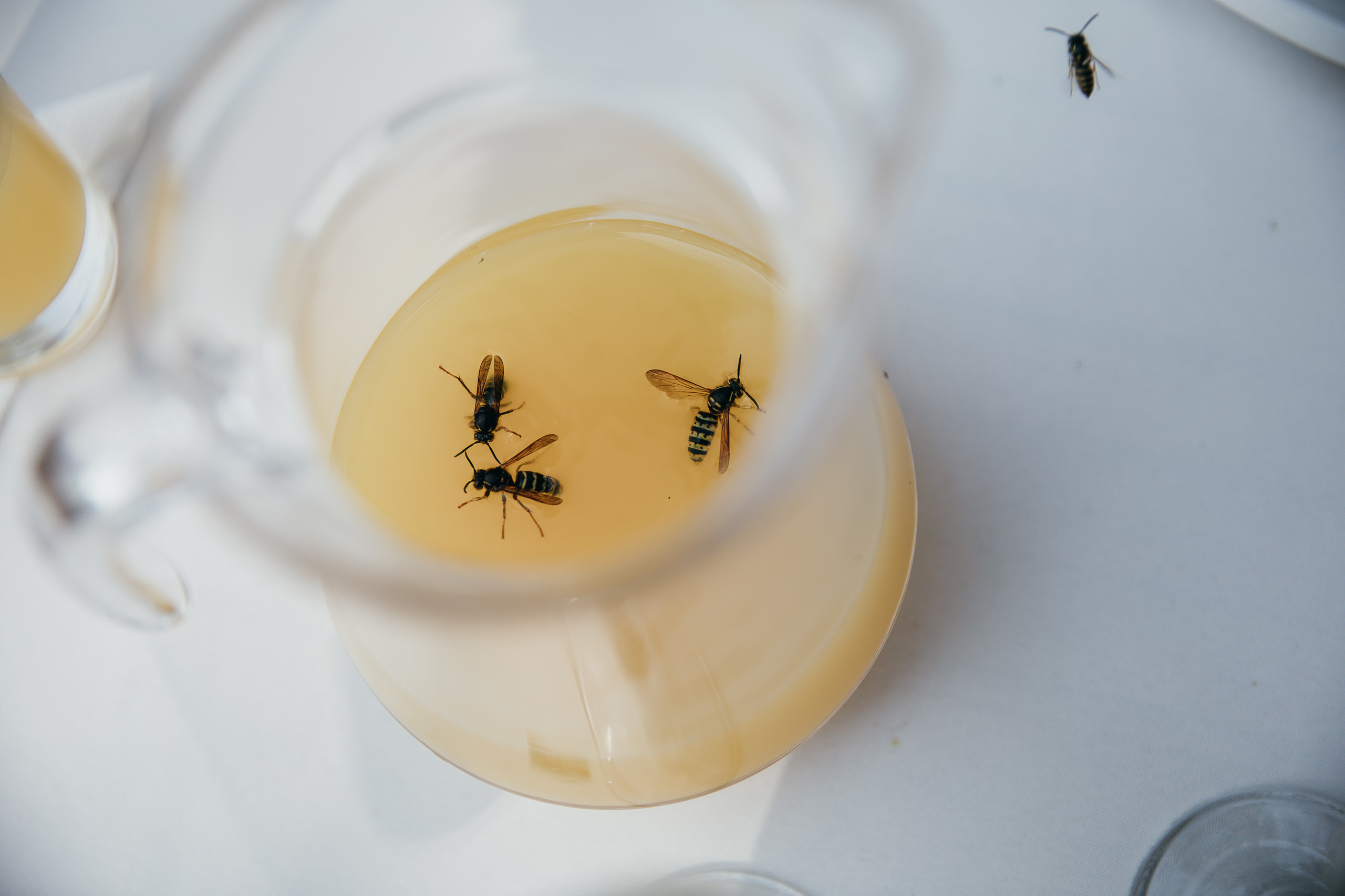 Дмитрий и Валерия. Фотограф Андрианов Кирилл