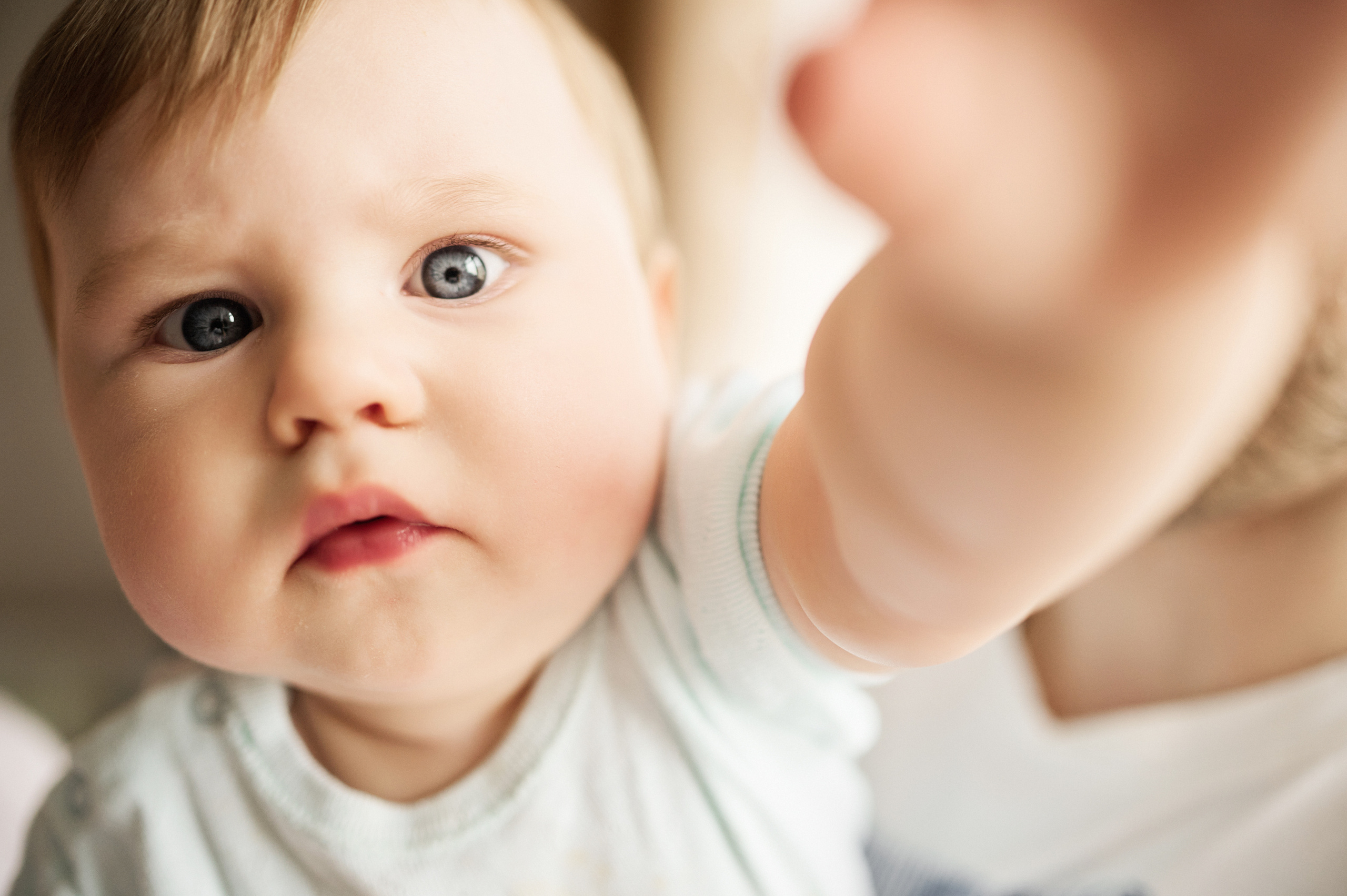 Дима, Яна и Лев. Свадебный и семейный фотограф в Ростове-на-Дону
