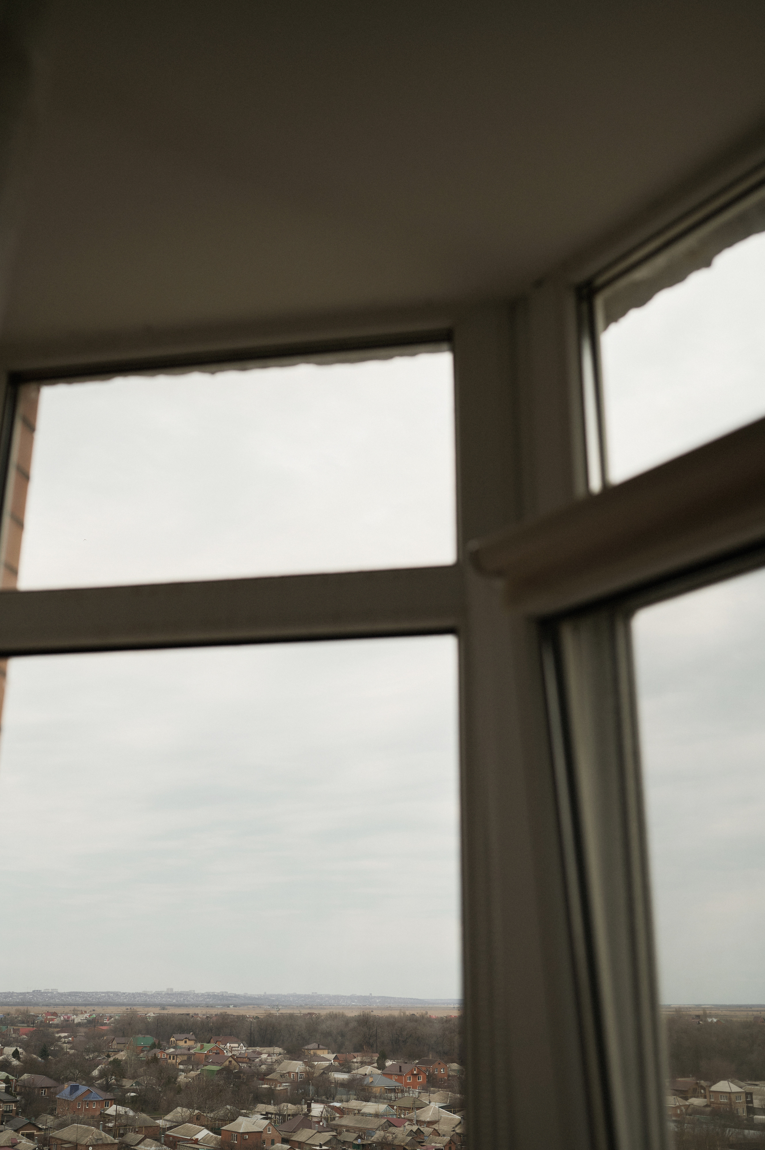 Дима, Яна и Лев. Свадебный и семейный фотограф в Ростове-на-Дону