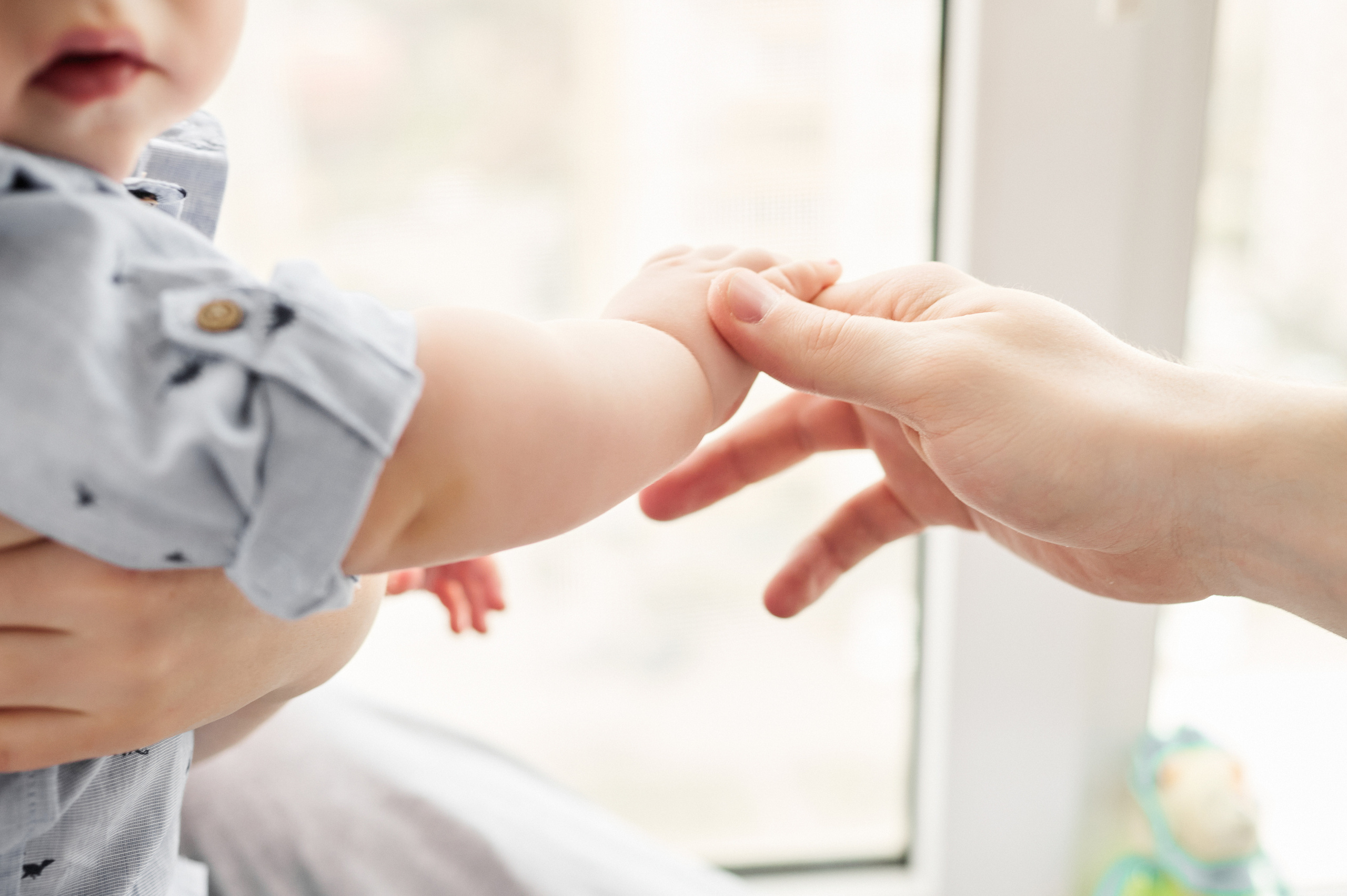 Дима, Яна и Лев. Свадебный и семейный фотограф в Ростове-на-Дону