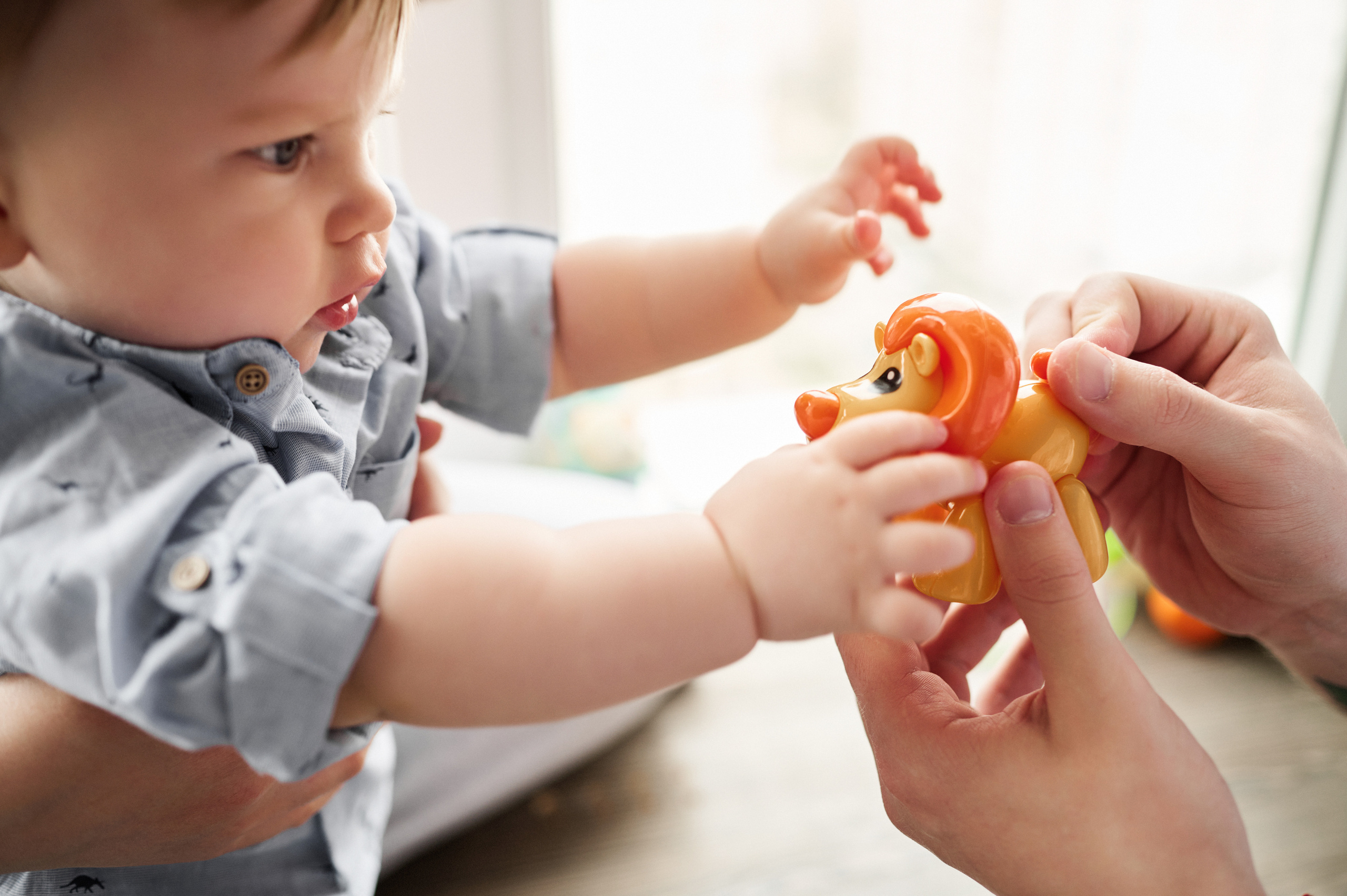 Дима, Яна и Лев. Свадебный и семейный фотограф в Ростове-на-Дону