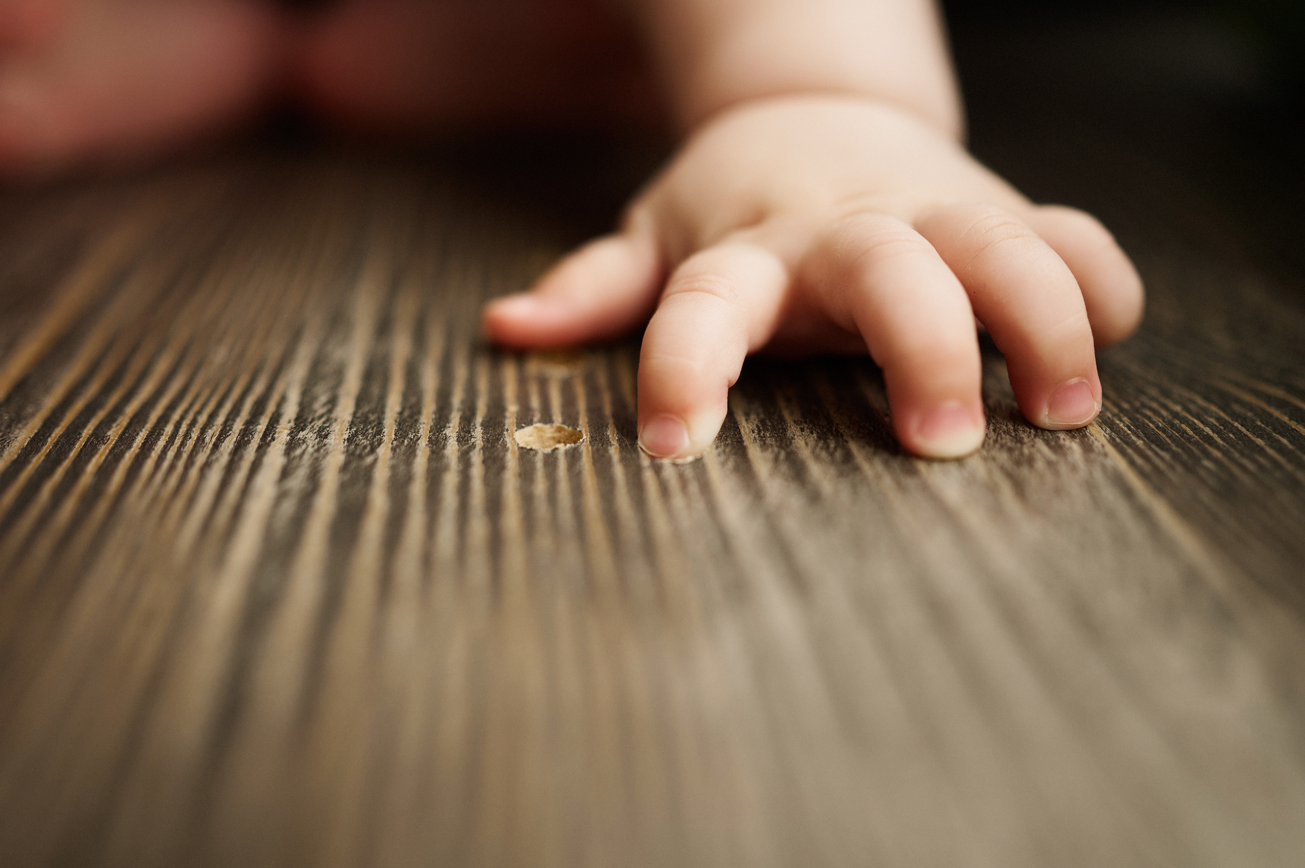 Дима, Яна и Лев. Свадебный и семейный фотограф в Ростове-на-Дону