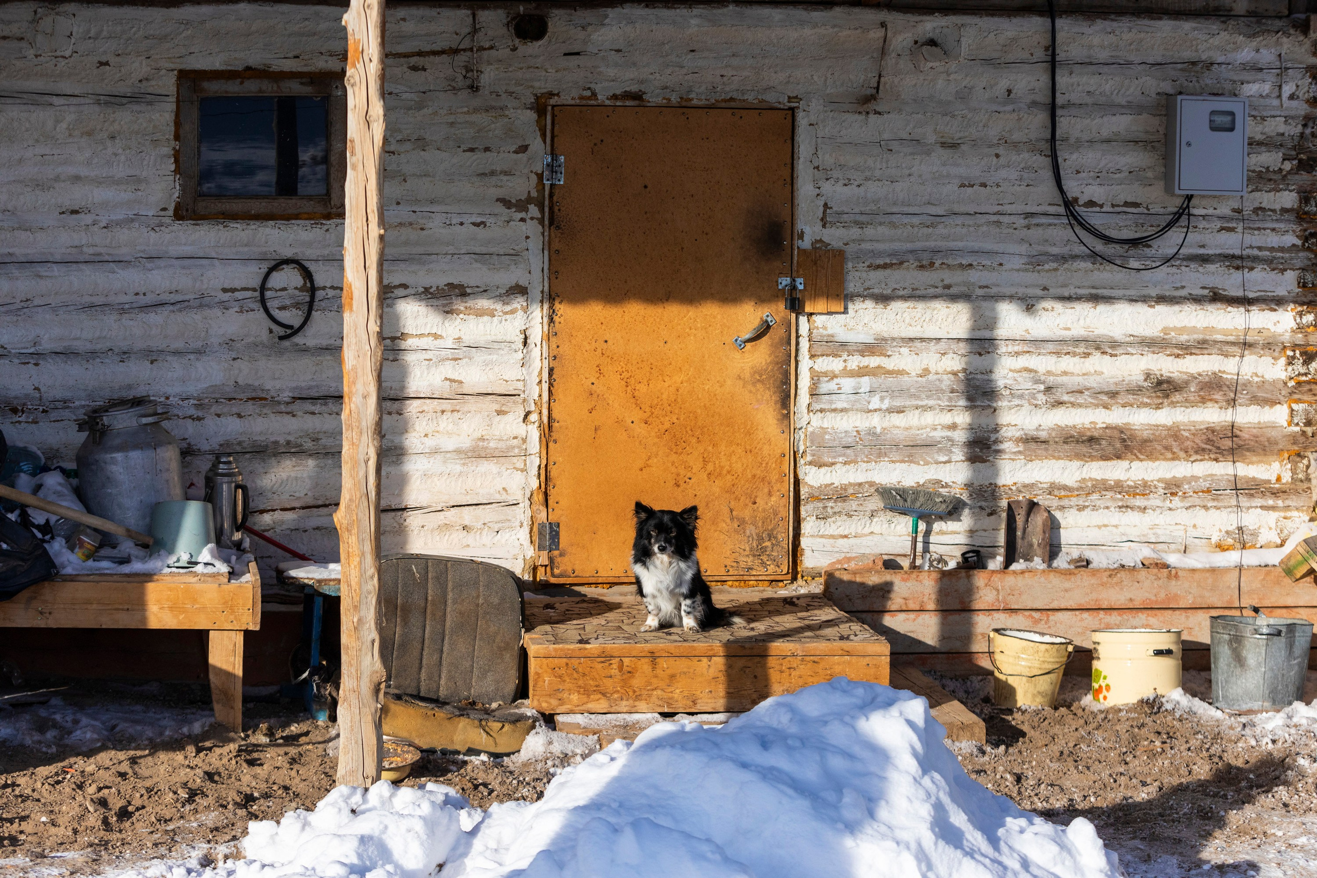 Алтай в декабре. Марина Захарова — Фотограф. Москва / Marina Zakharova — Photographer