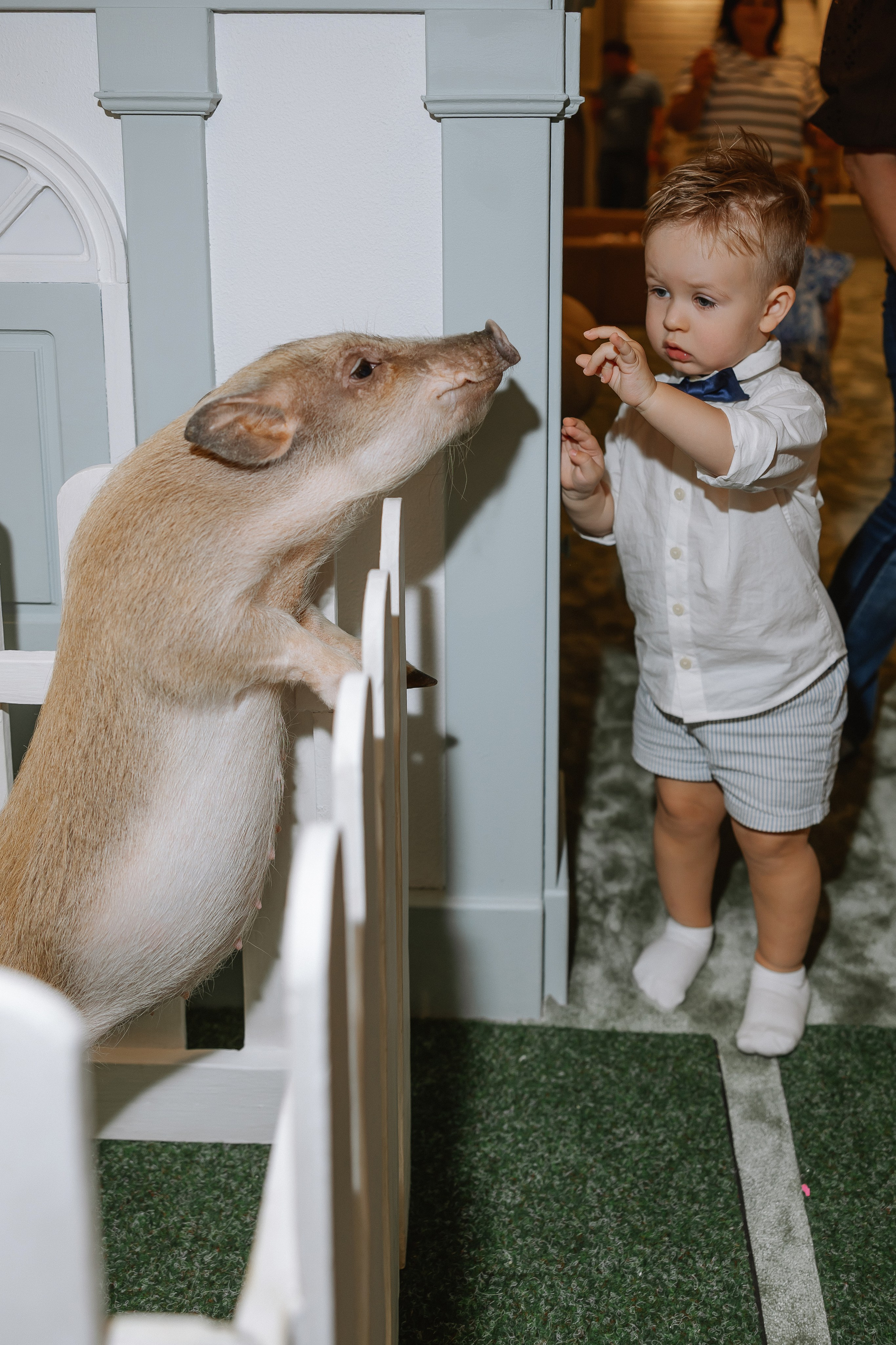 День рождения Мария и Георгий. Свадебный фотограф | Москва | Демидова Мария