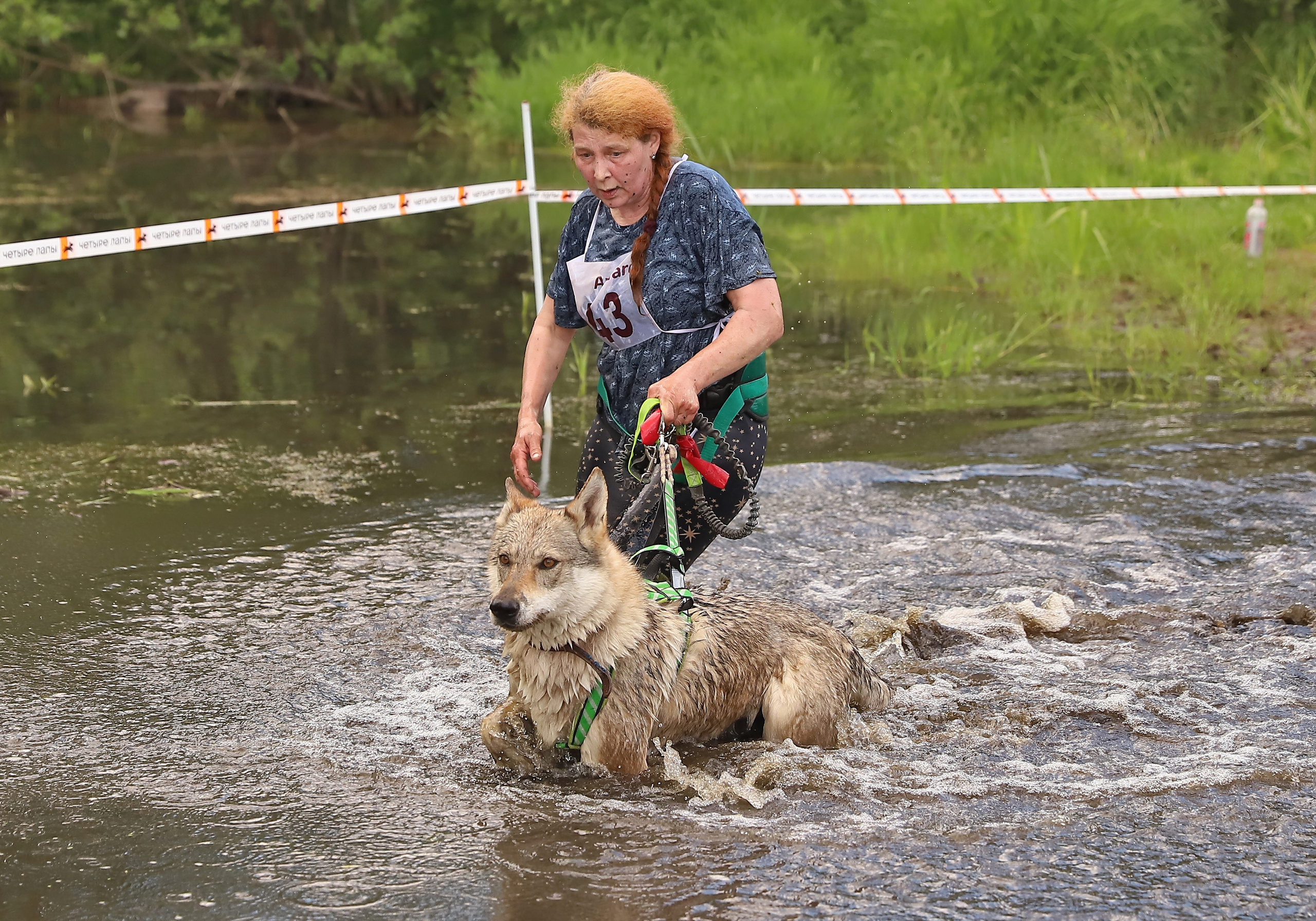 Хвостатый драйв. Семейный и детский фотограф в Москве и МО Елена Москвичева