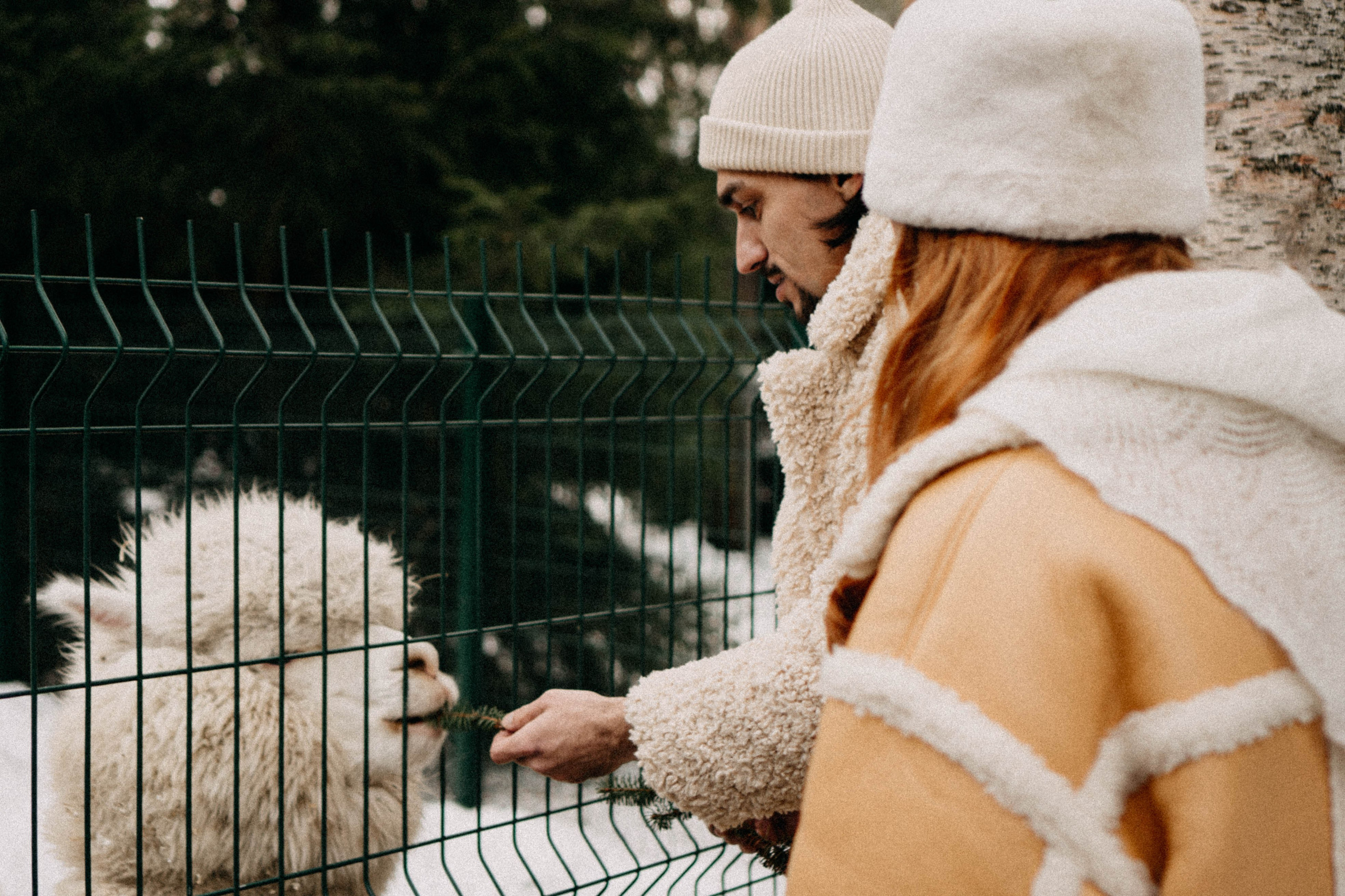 Каток. Профессиональный фотограф, Санкт-Петербург — Виктория Богомолова