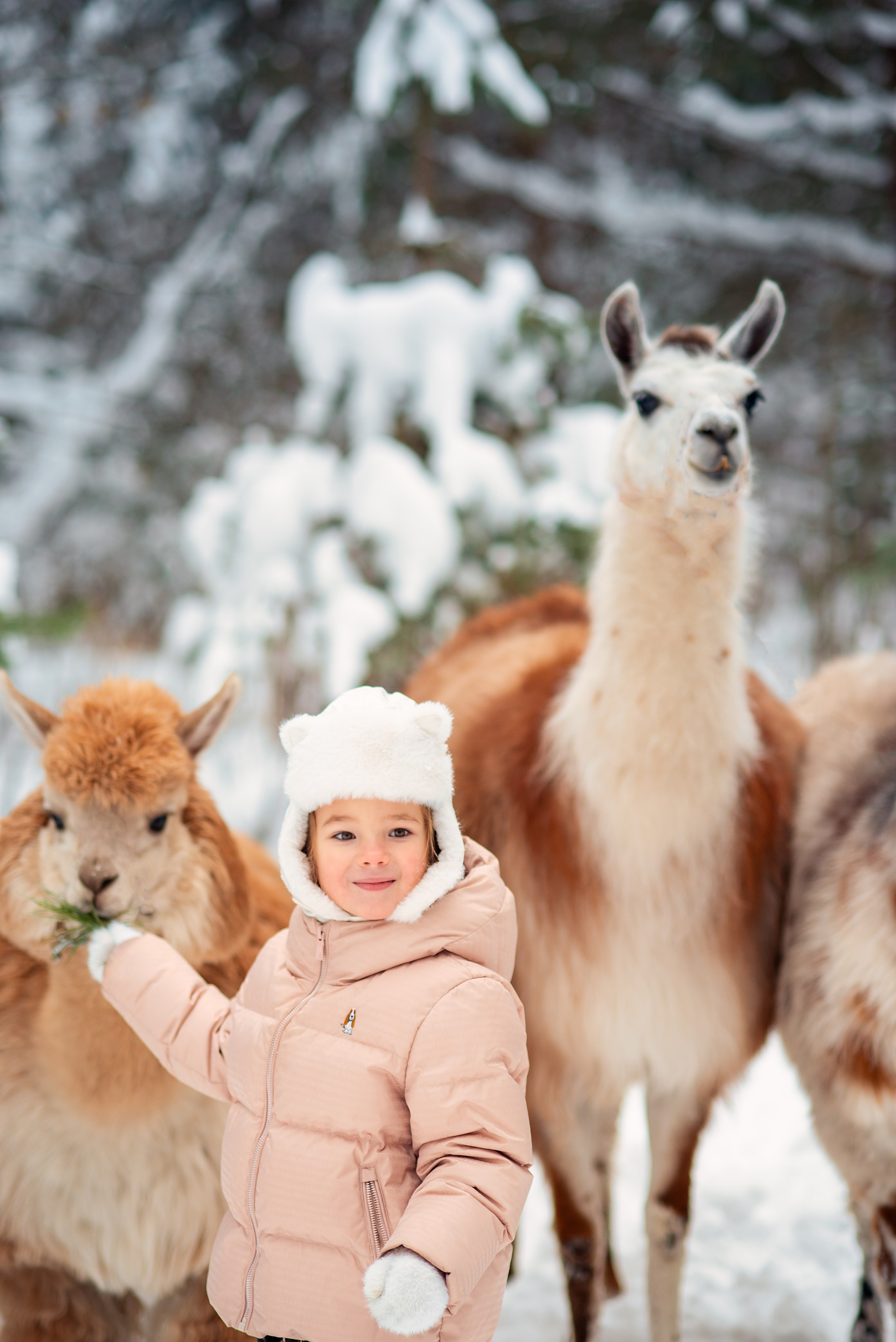 СЕМЕЙНАЯ ФОТОСЕССИЯ НА ПРИРОДЕ. Главная