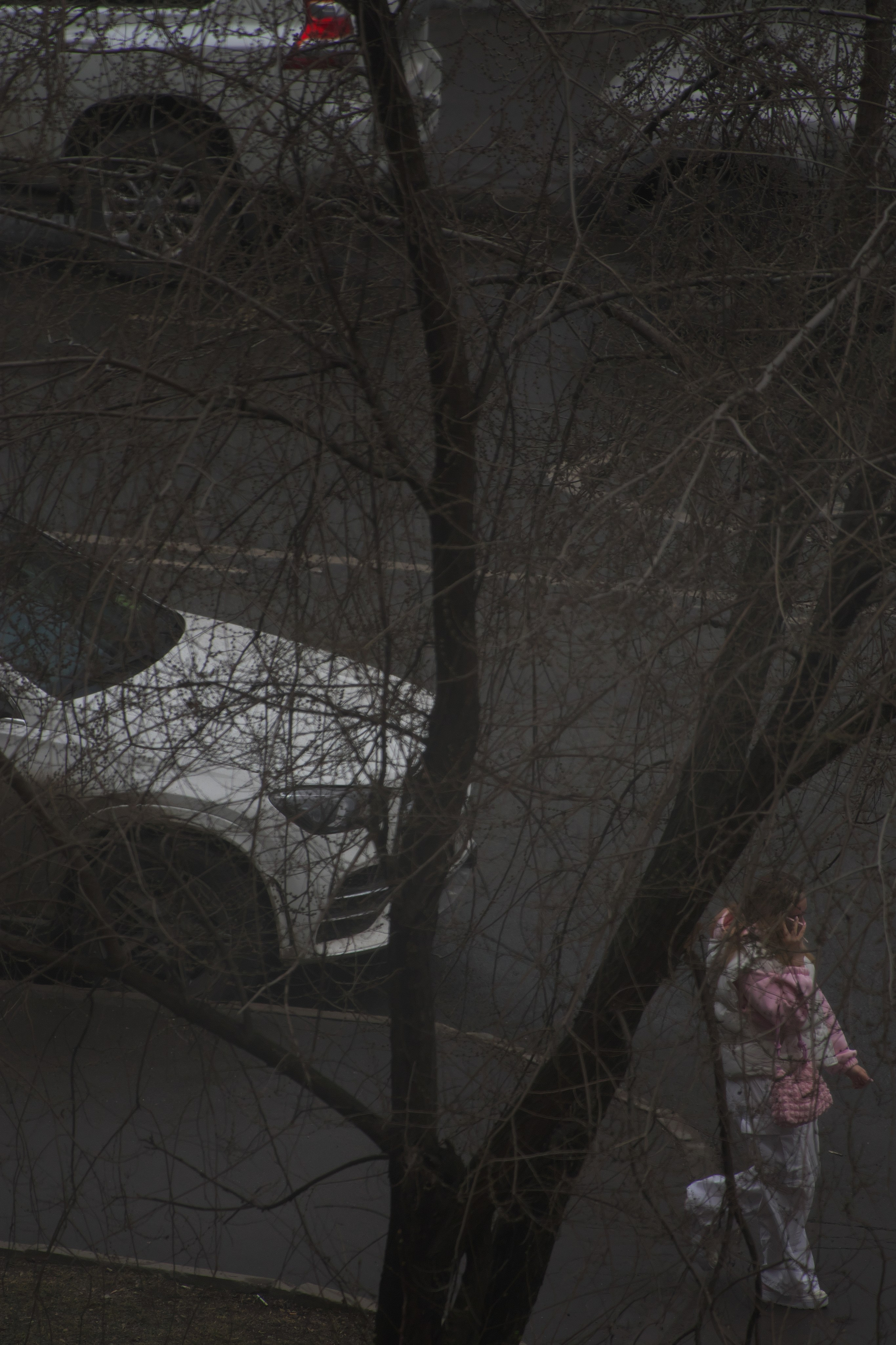 Пасмурный день 🌧️. Миша Печёнкин | фотография