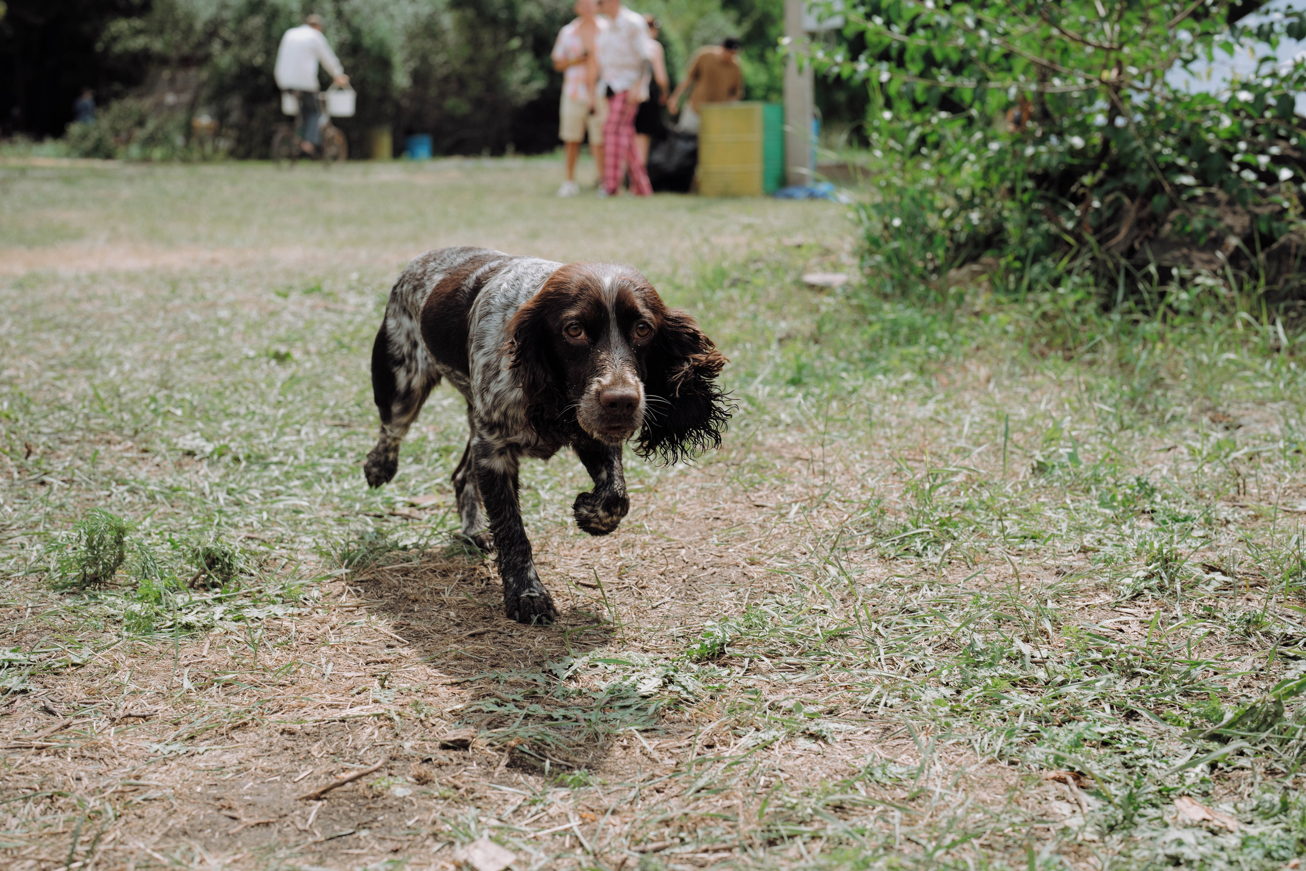 ASS FAMILY | СОН В ДЕРЕВНЕ | АВИАРЕЖИМ 8.0