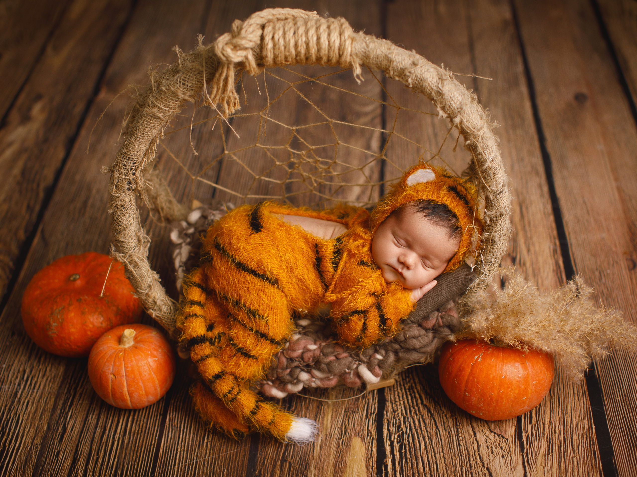 Портфолио фотосессия для новорожденных. Фотограф новорождённых и детей до года на КМВ