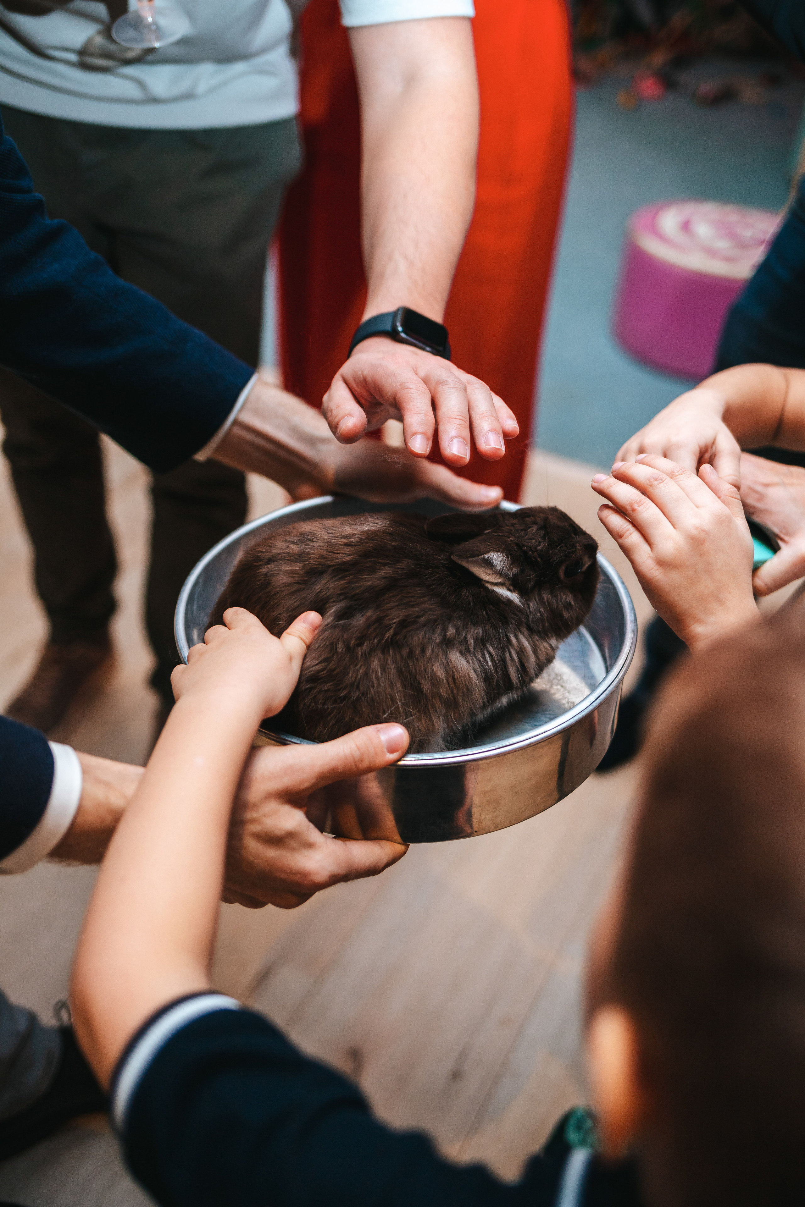 Фоторепортаж. Семейный lifestyle фотограф в Санкт-Петербурге Людмила Пахомова
