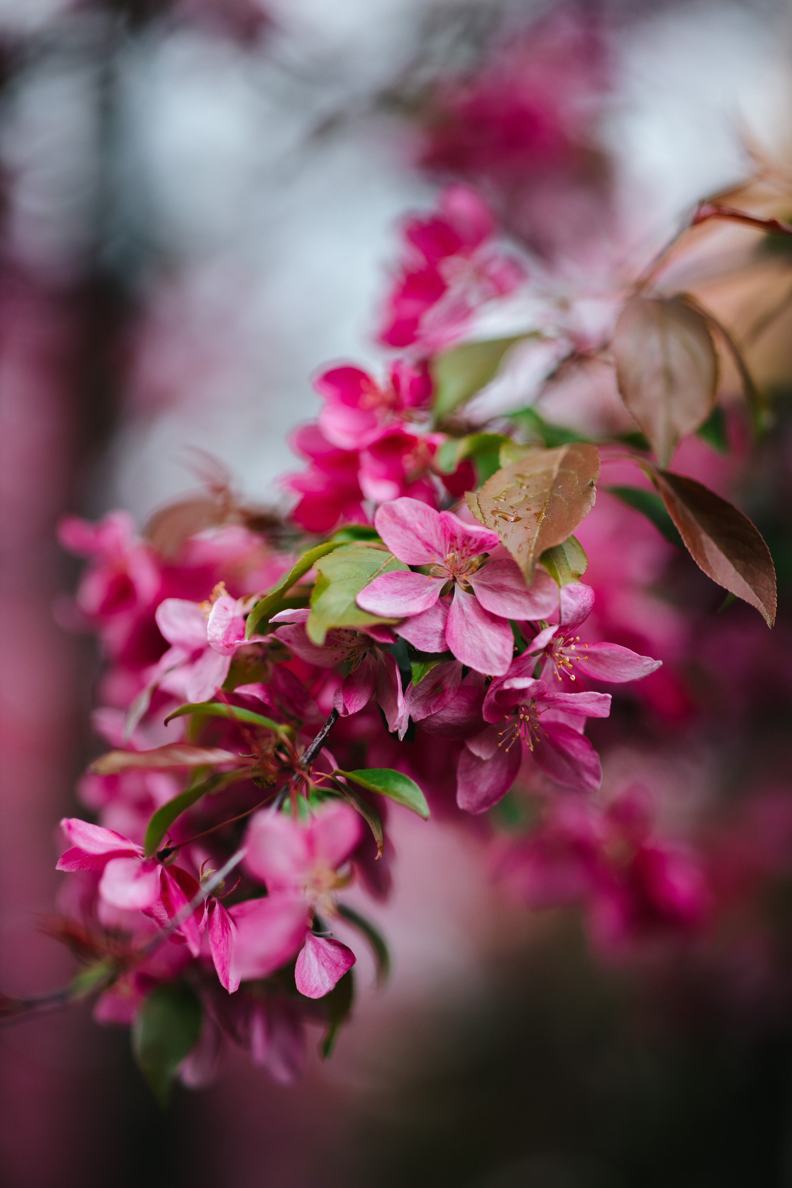 Фотопрогулка по Москве. Семейный lifestyle фотограф в Санкт-Петербурге Людмила Пахомова