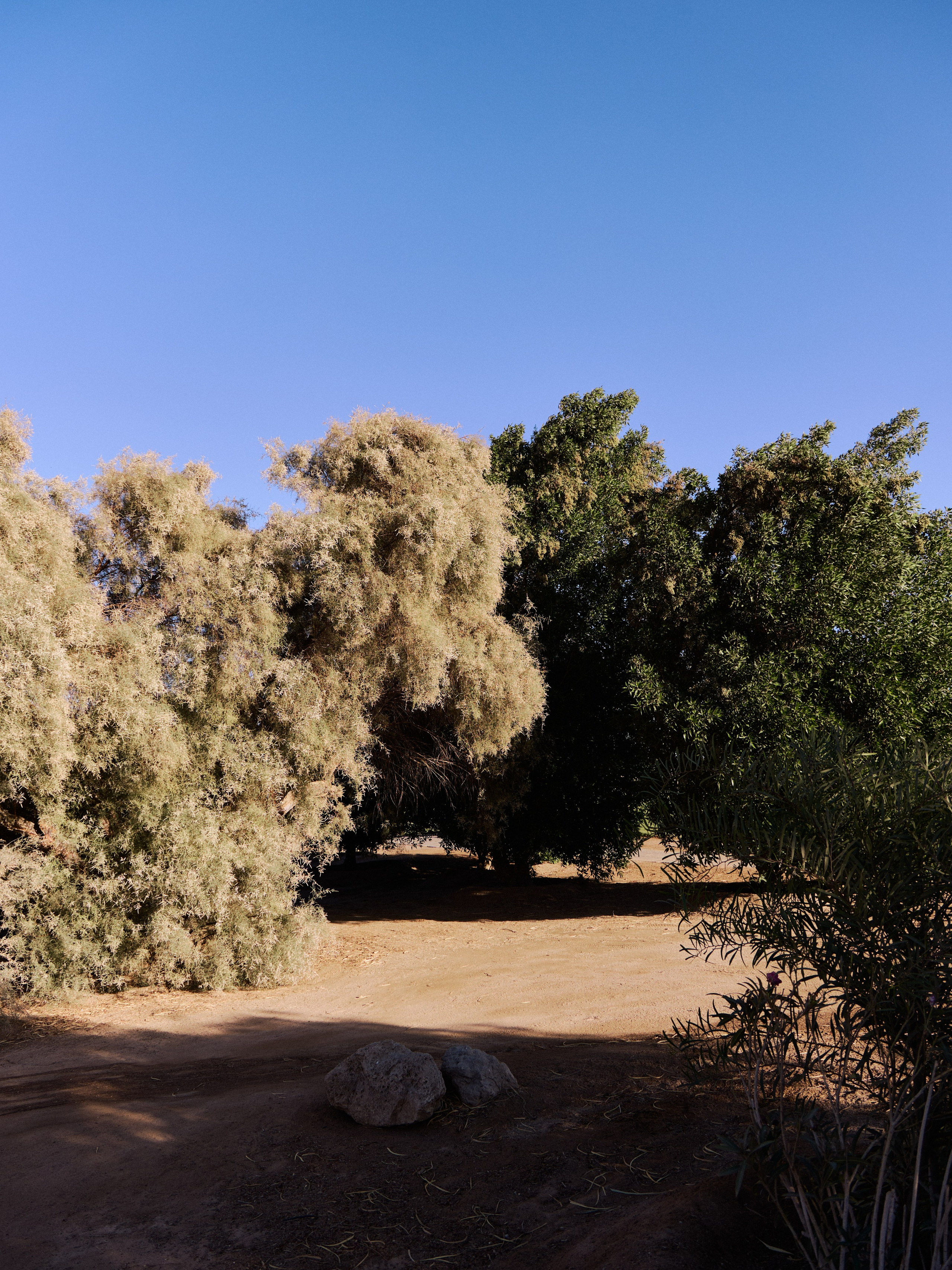 Другое 3. Jorgis — фотограф в Хургаде / обучение фотографии