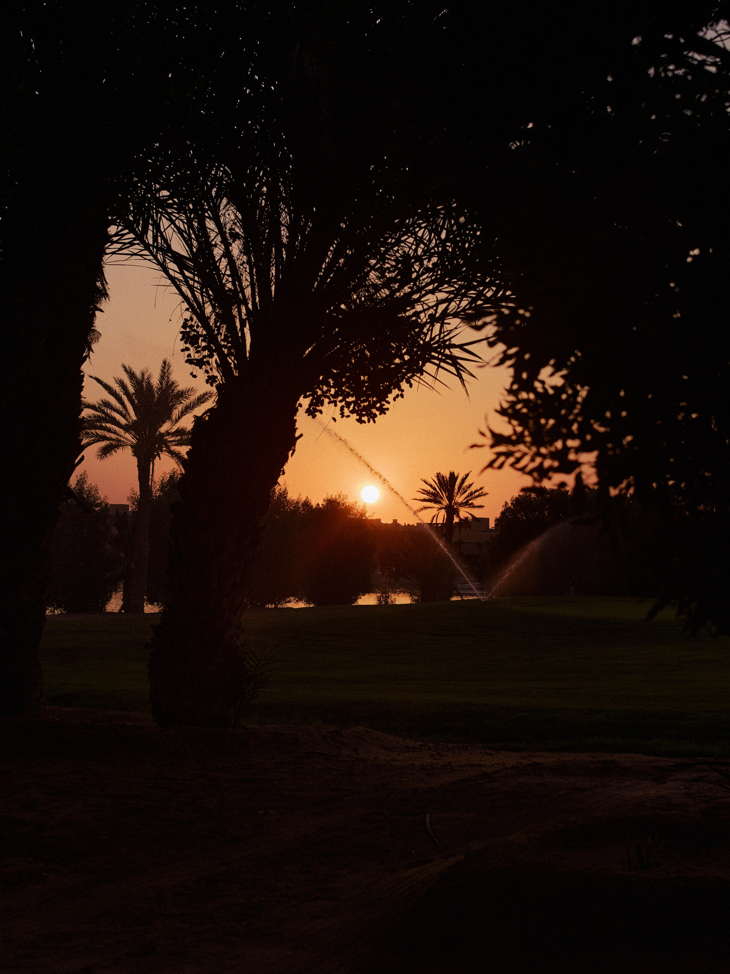 Другое 3. Jorgis Talè — photographer, kind person, teacher of arts and other mag