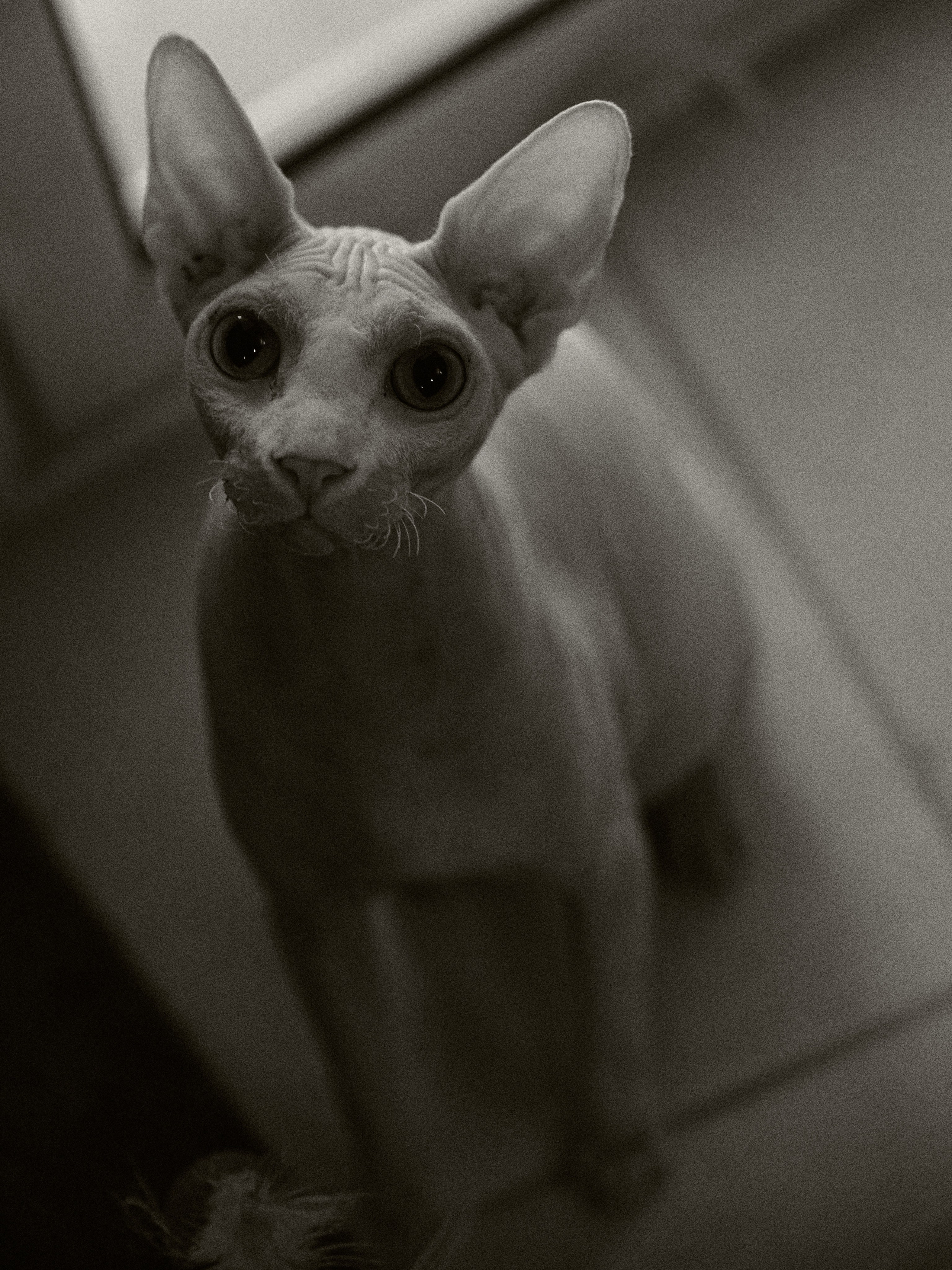 B&W. Jorgis — фотограф в Хургаде / обучение фотографии