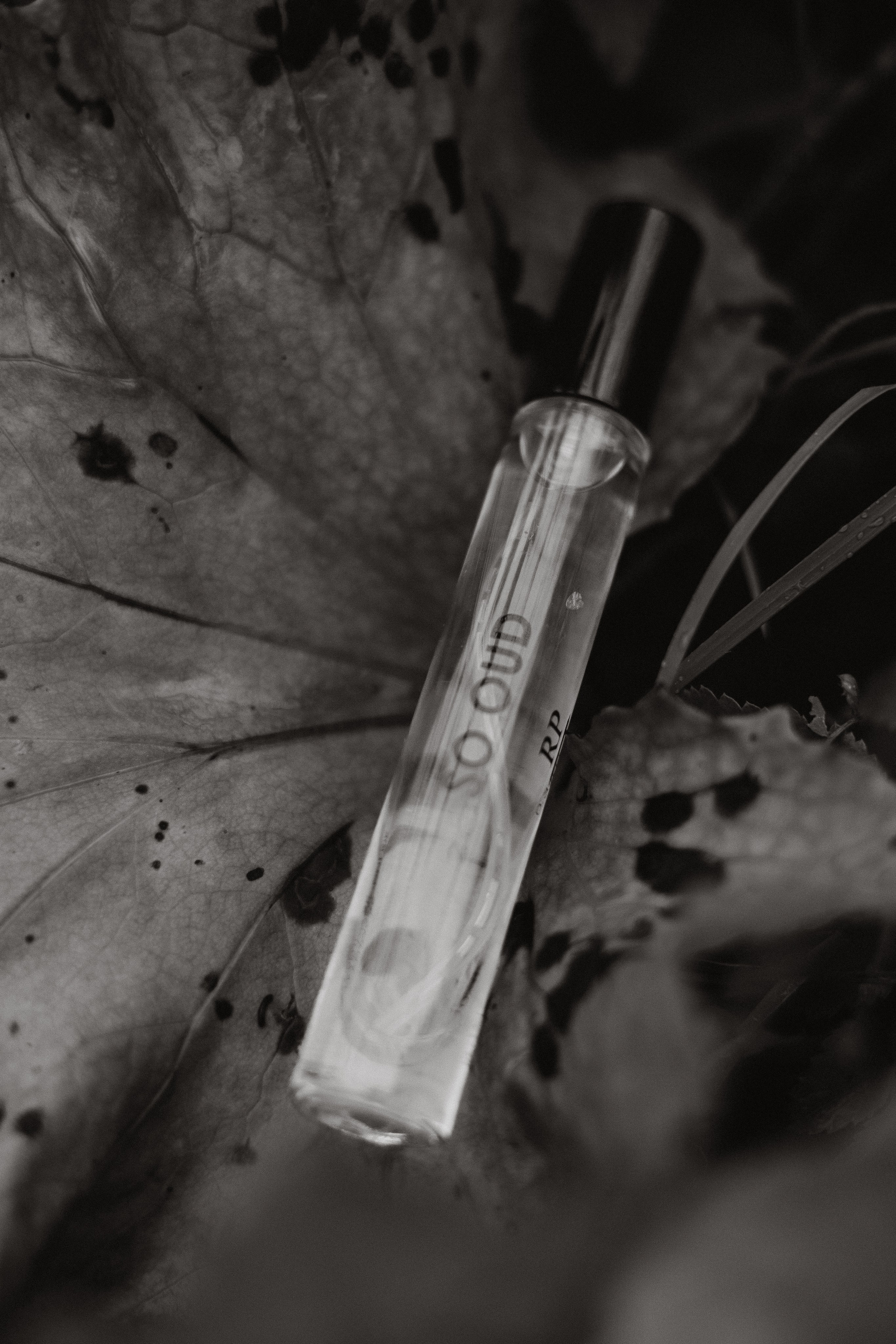 Съемка для брендов. Фотограф в Москве (готова приехать к вам в город)