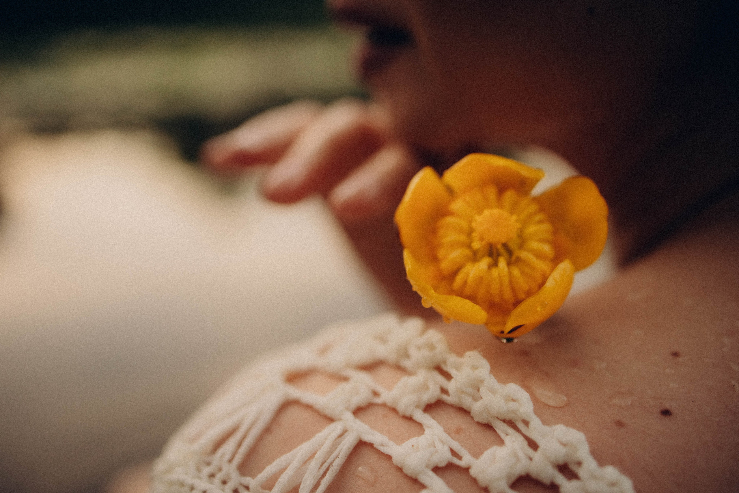 Кувшинки. Главная