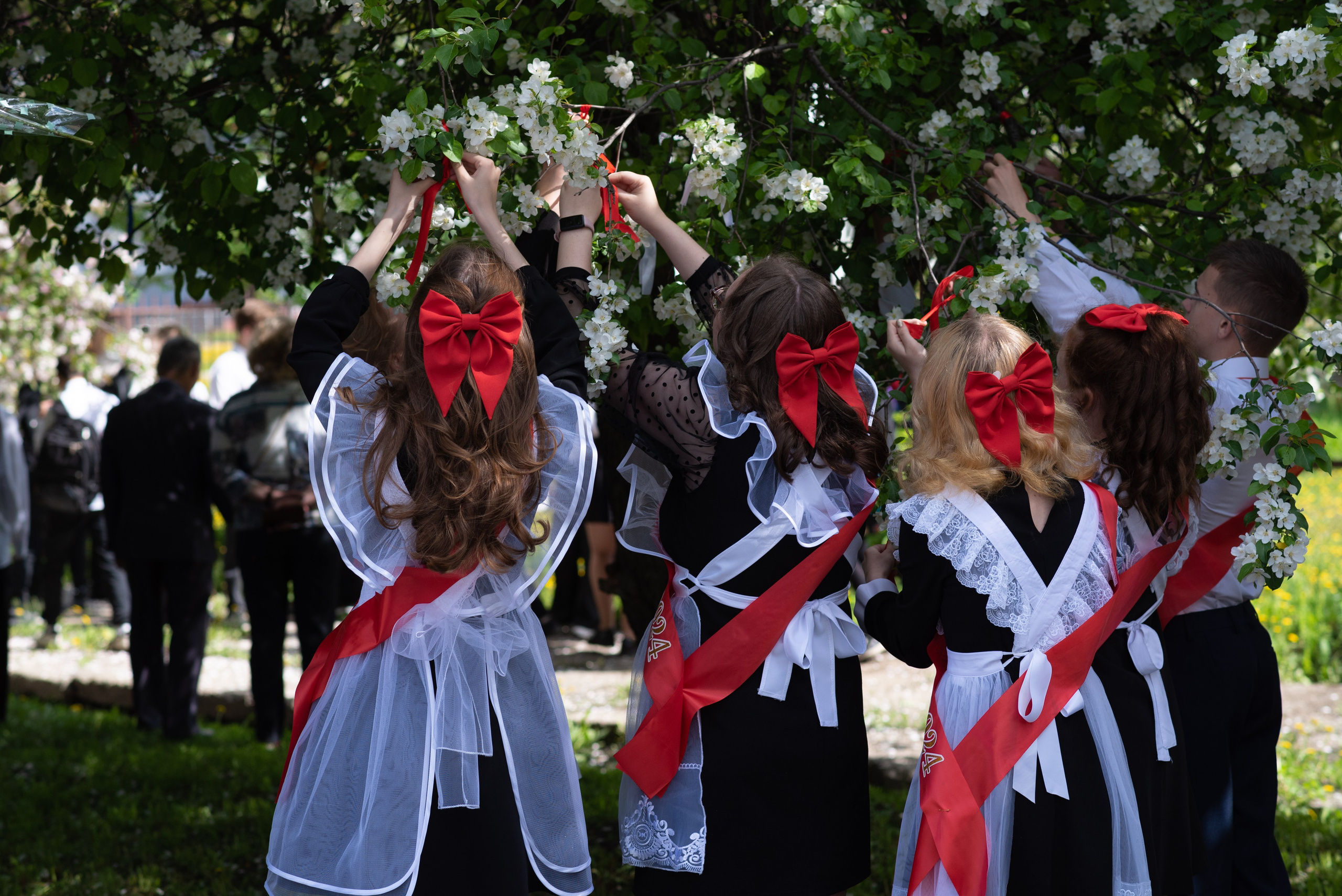 Выпускной (9 класс). Главная