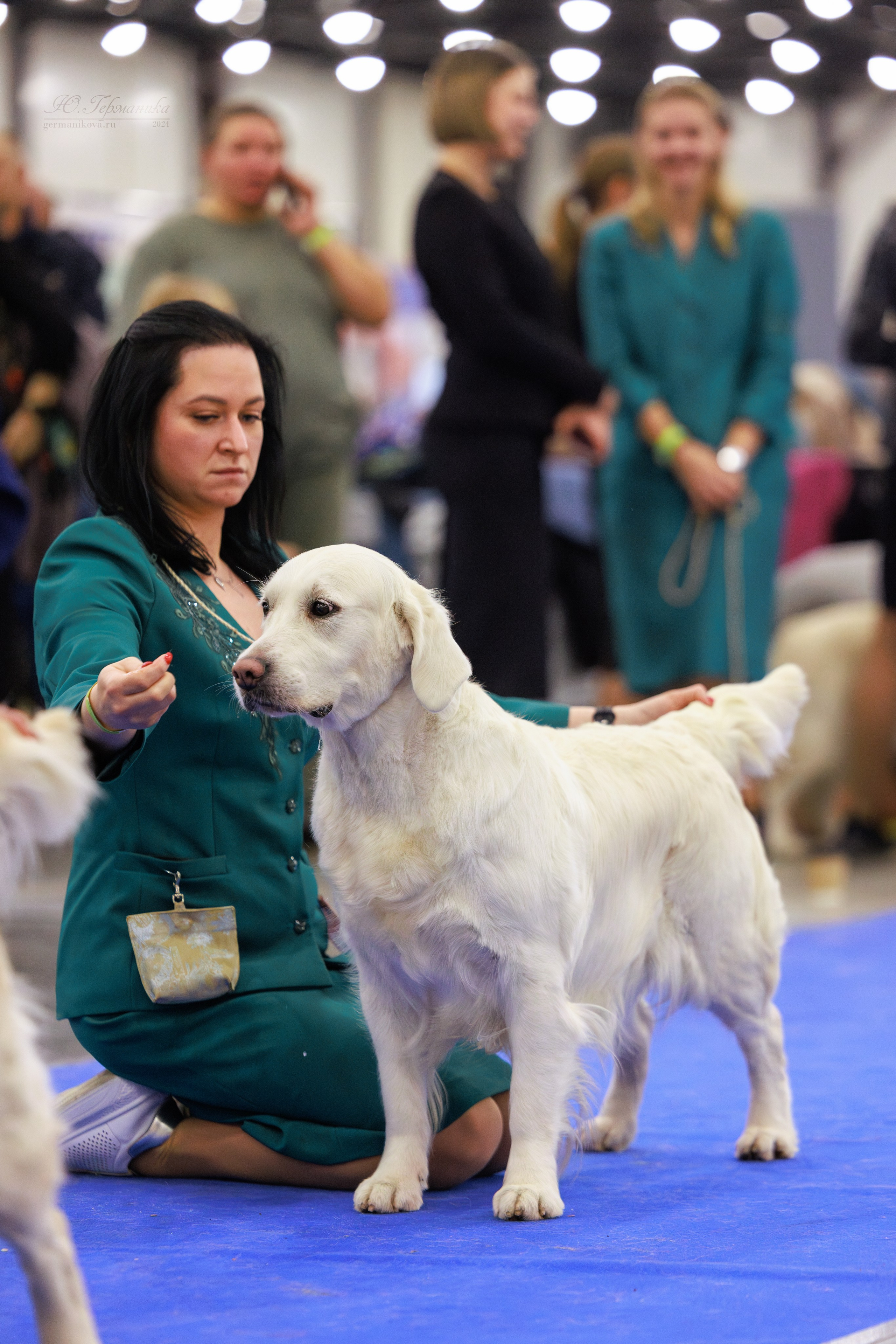 Санкт-Петербург 14.12.2024 ОС. Фотограф-анималист Юлия Германика