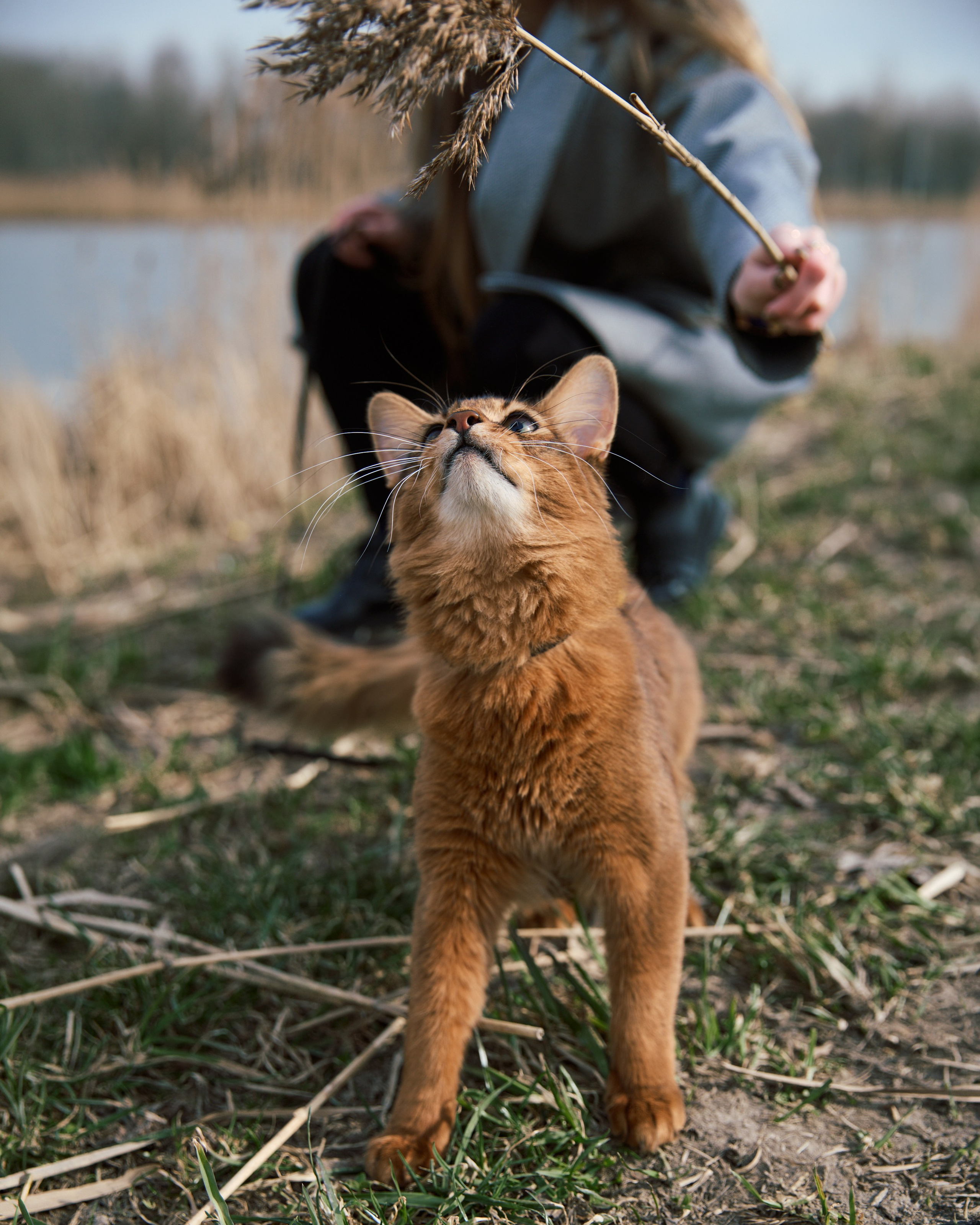 Rufus. Творческий фотограф в Санкт-Петербурге — Никита Шохенмайер