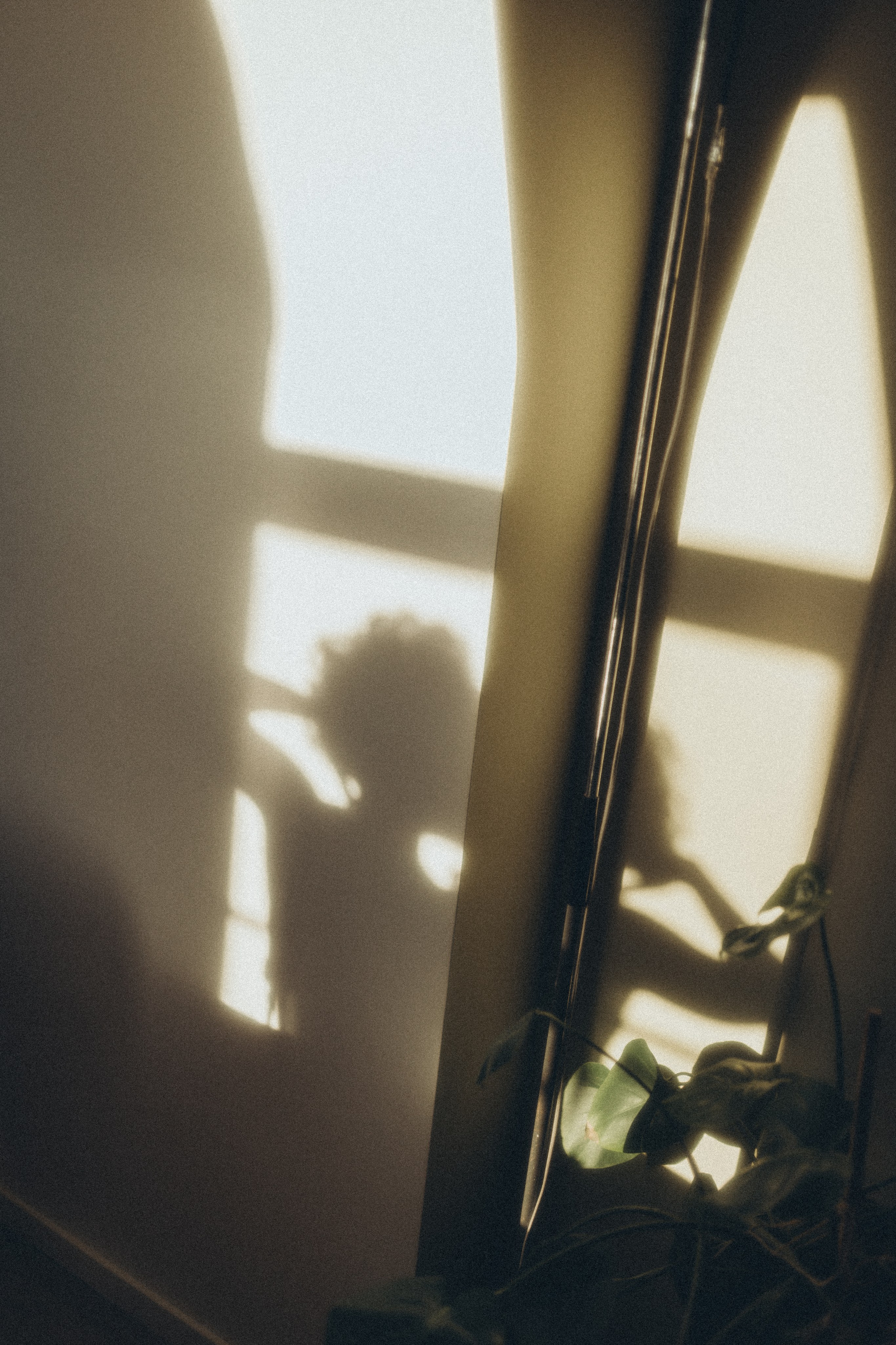 Про любовь. Фотограф Санкт-Петербург|СПБ|Питер Марина Медведева