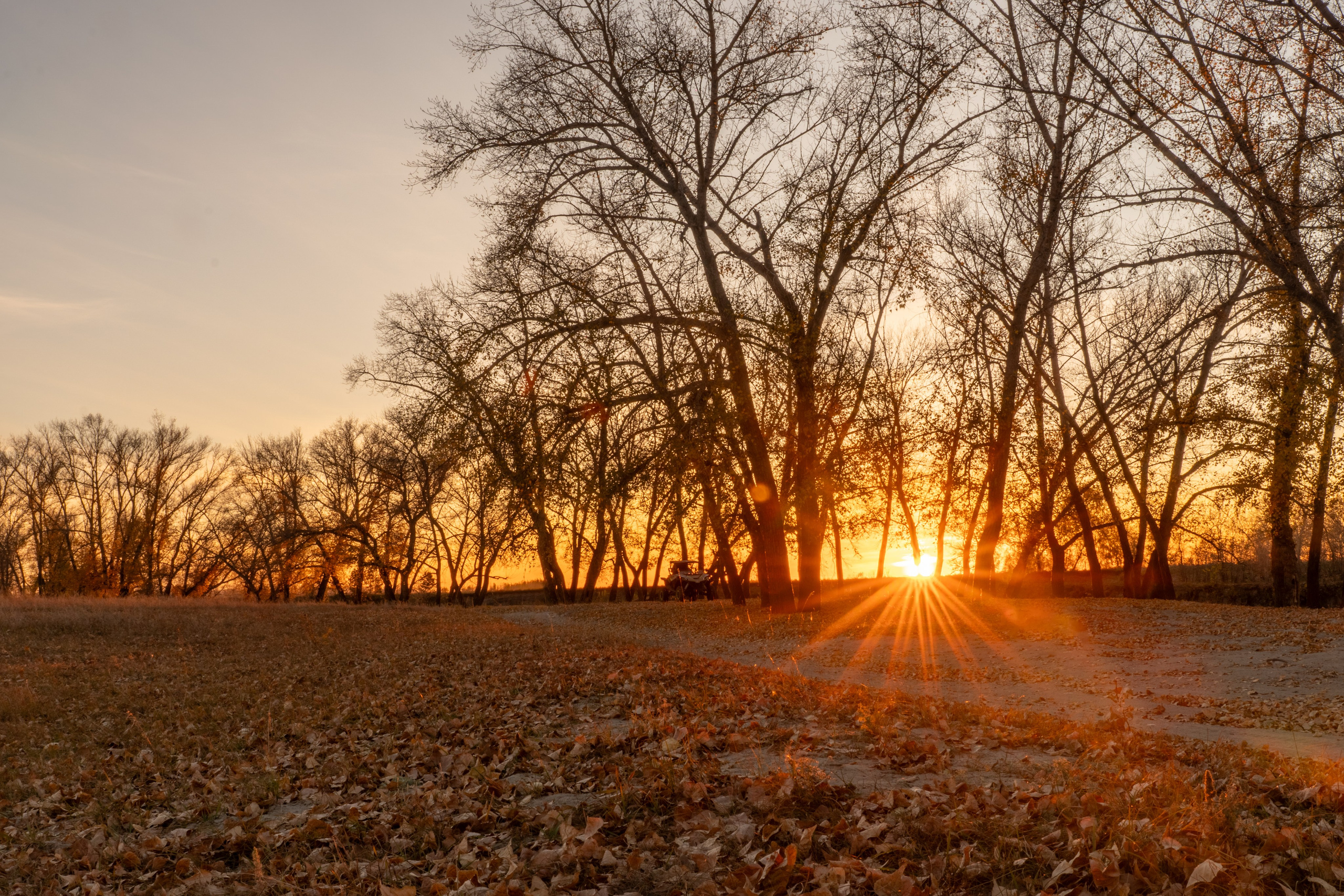 Курганская область. Daria wanderer photography