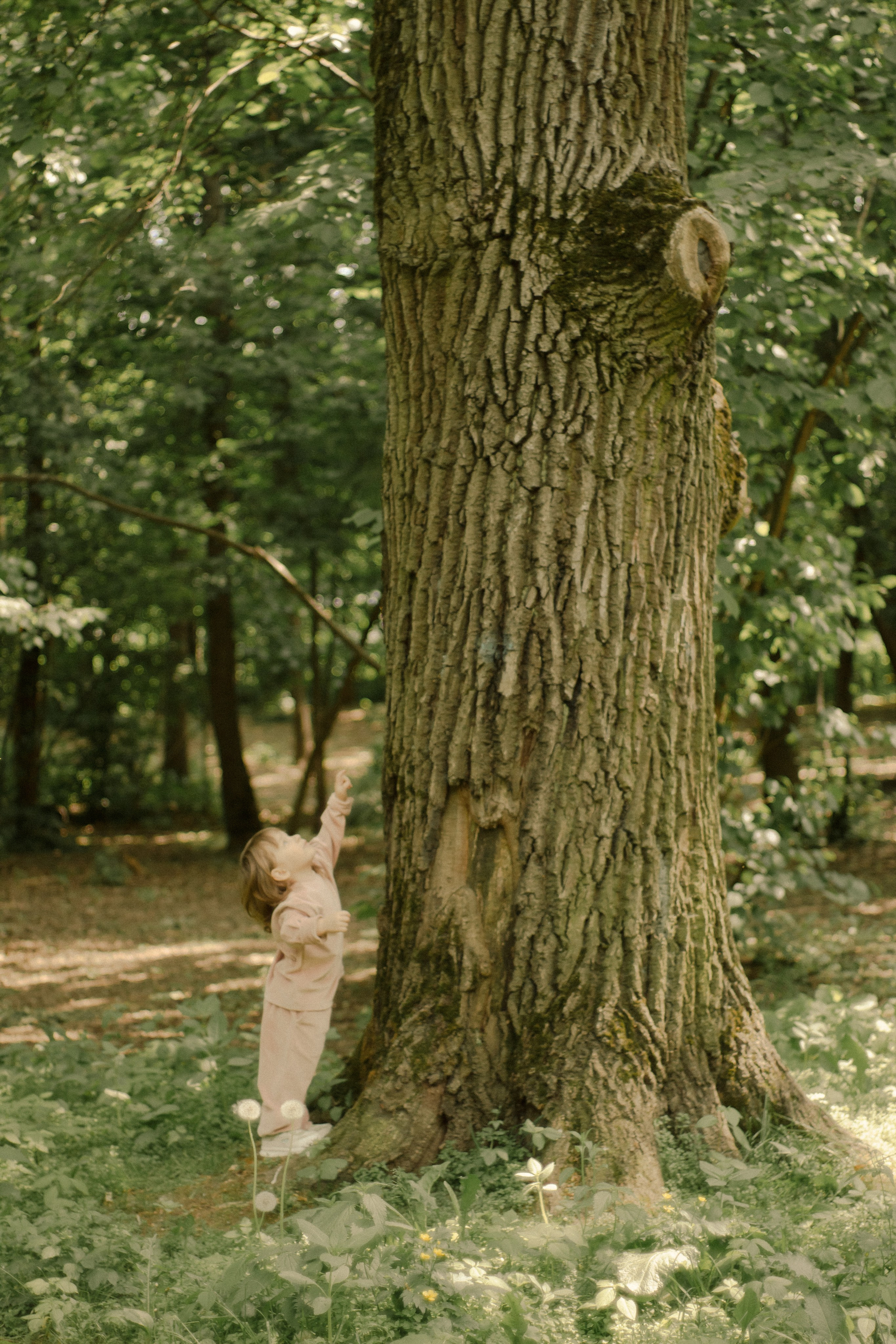 Семейная фотосессия. Фотограф Соня с Земли