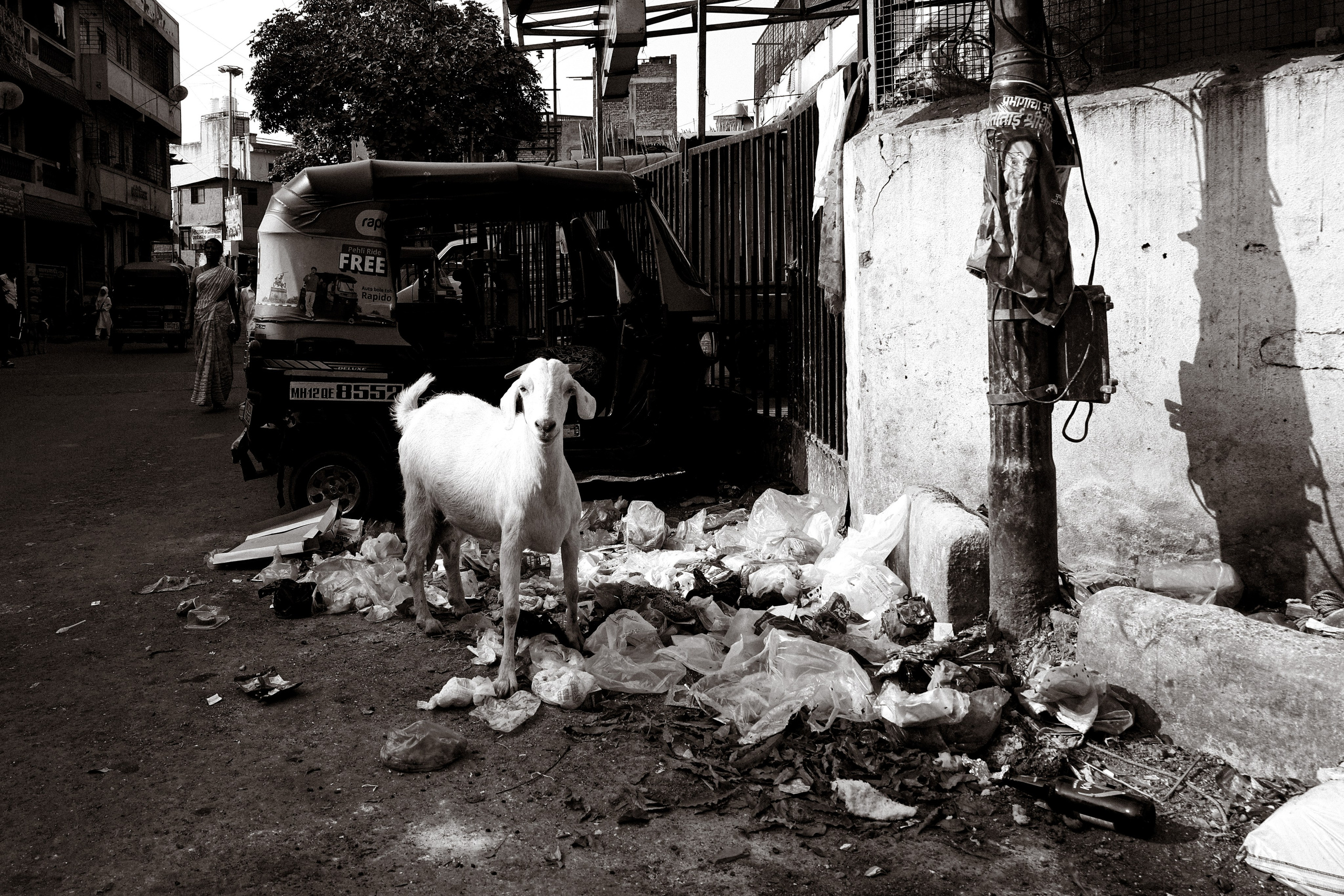 India. Фотограф в Москве