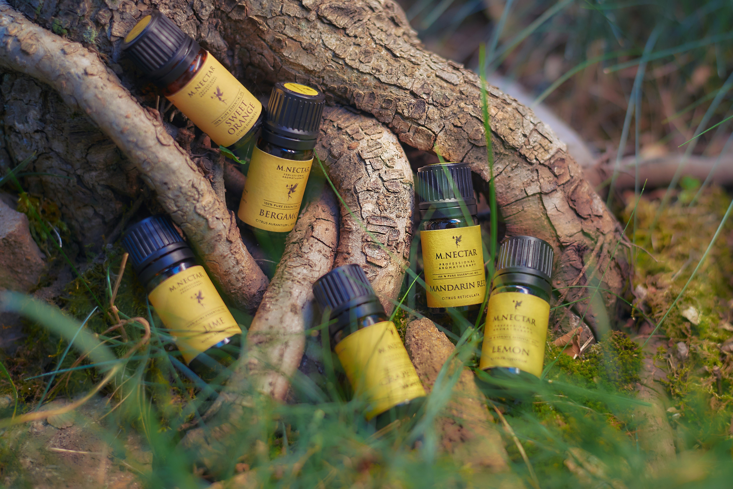 Рекламные фото вашего товара или услуги.