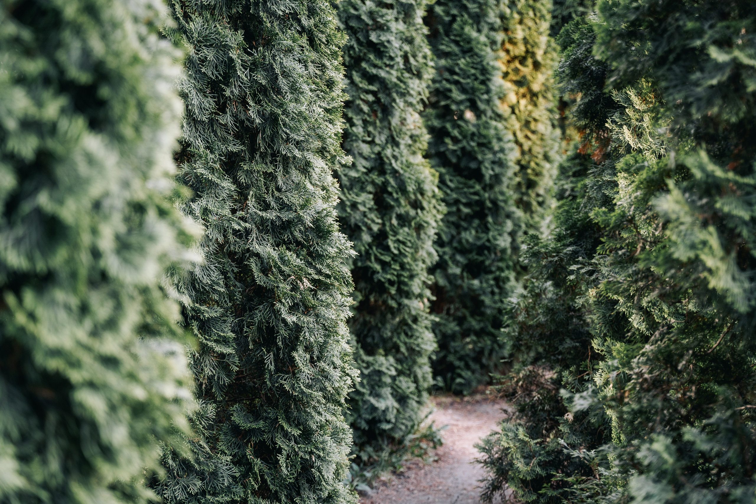 Места для съёмок. Фотограф Александр Решня