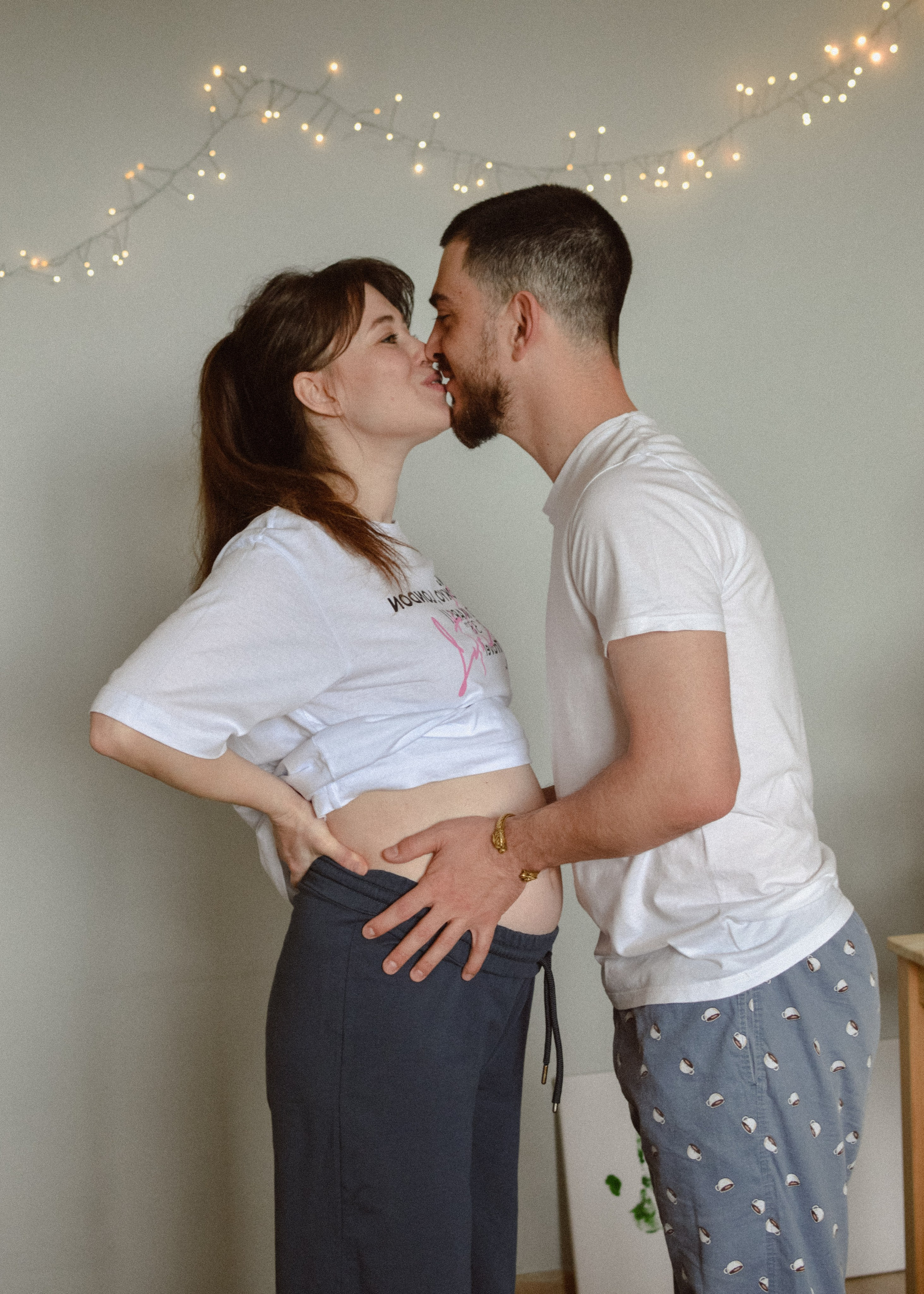 Домашняя история. Meryfotoidea